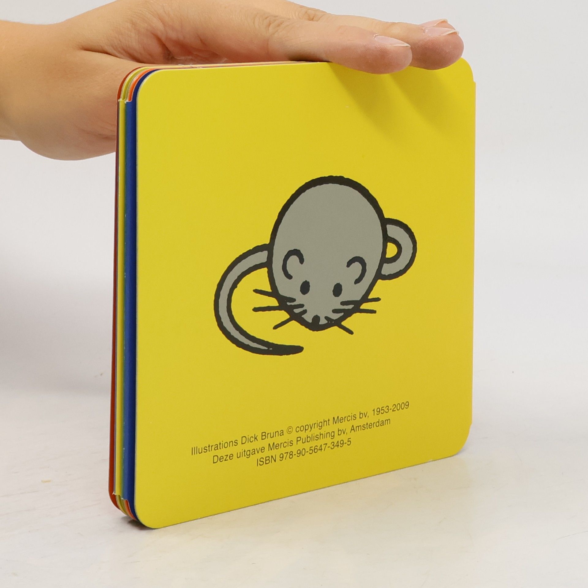 Ik ben een olifant: uitvouwboekje in slipcase