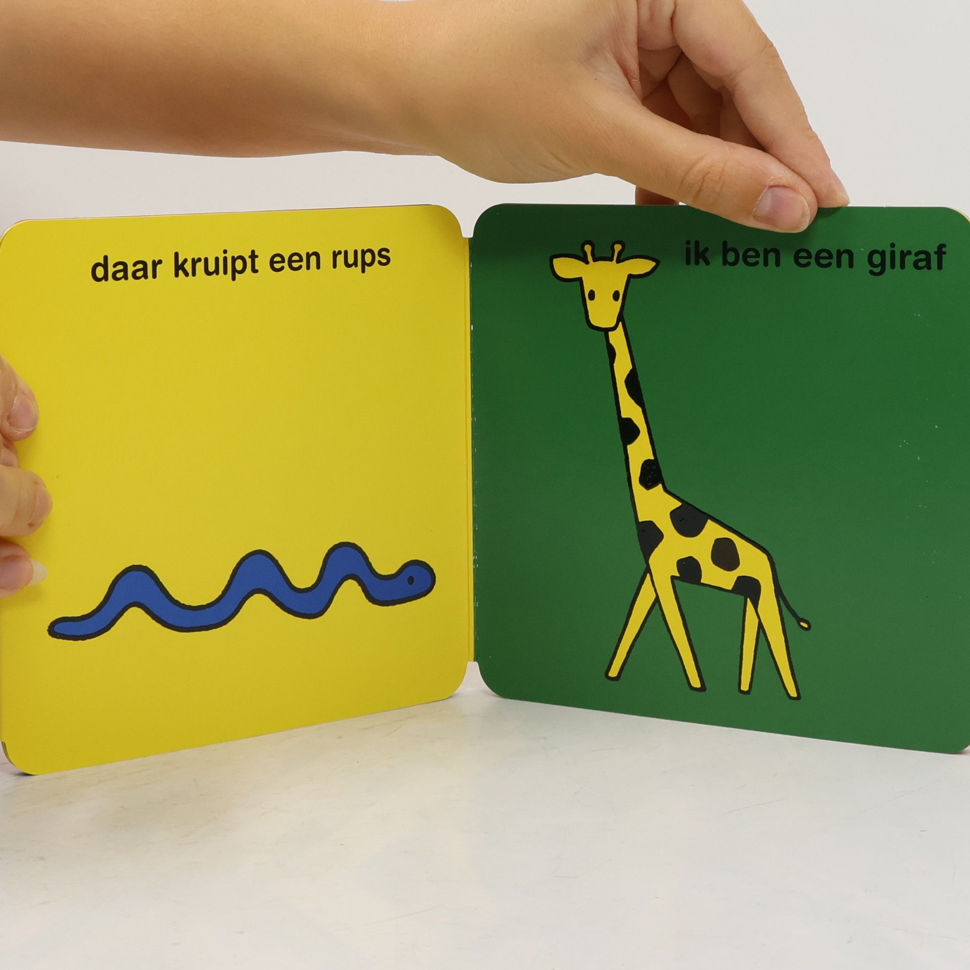 Ik ben een olifant: uitvouwboekje in slipcase