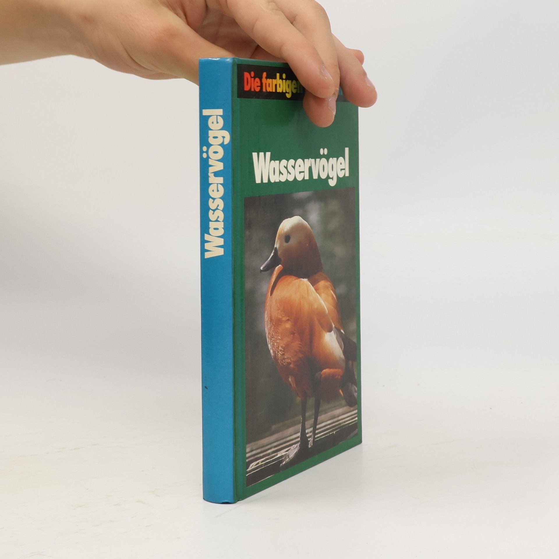 Autorenkollektiv Wasservögel