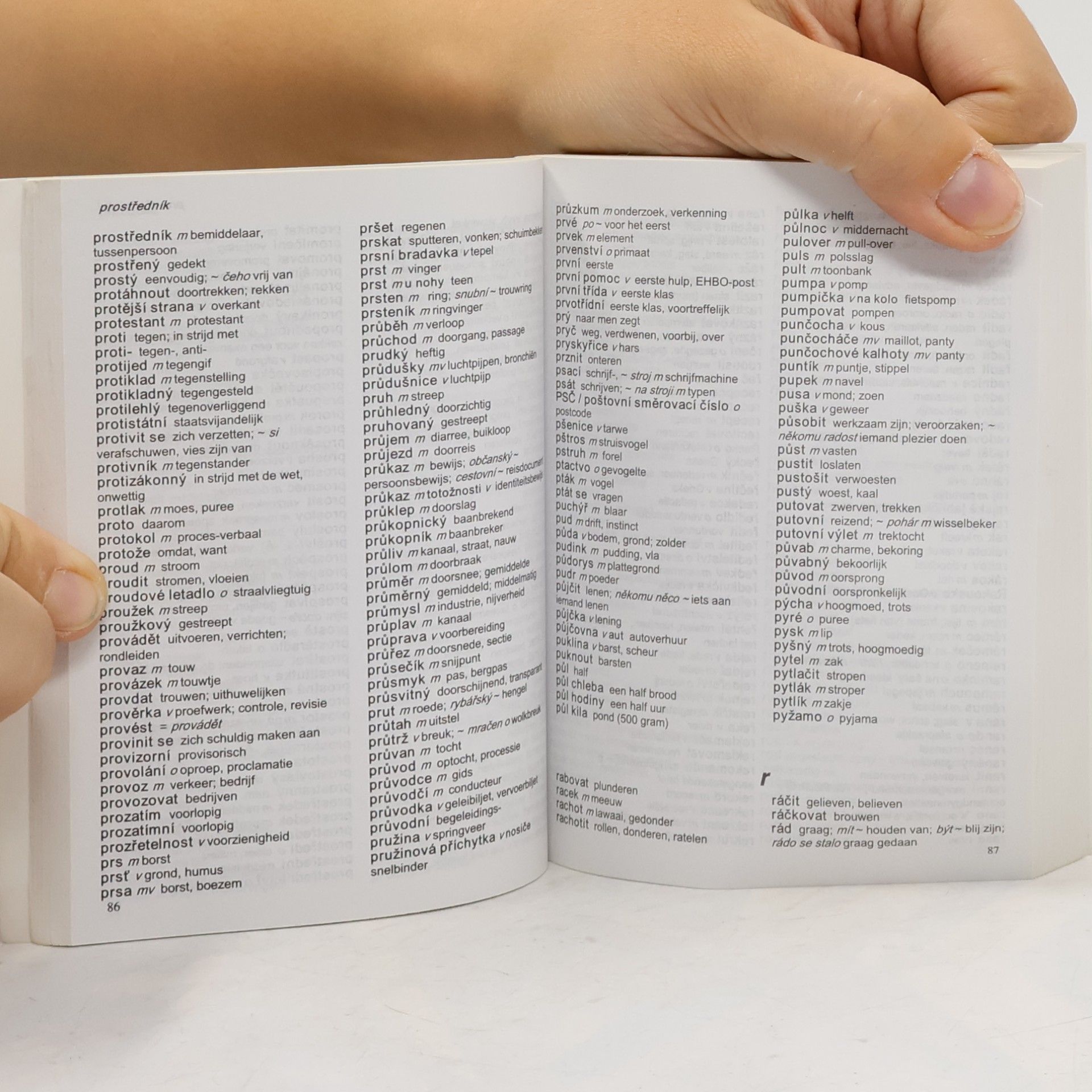 Hanny Demeersseman Reiswoordenboek Tsjechisch-Nederlands / Nederlands-Tsjechisch