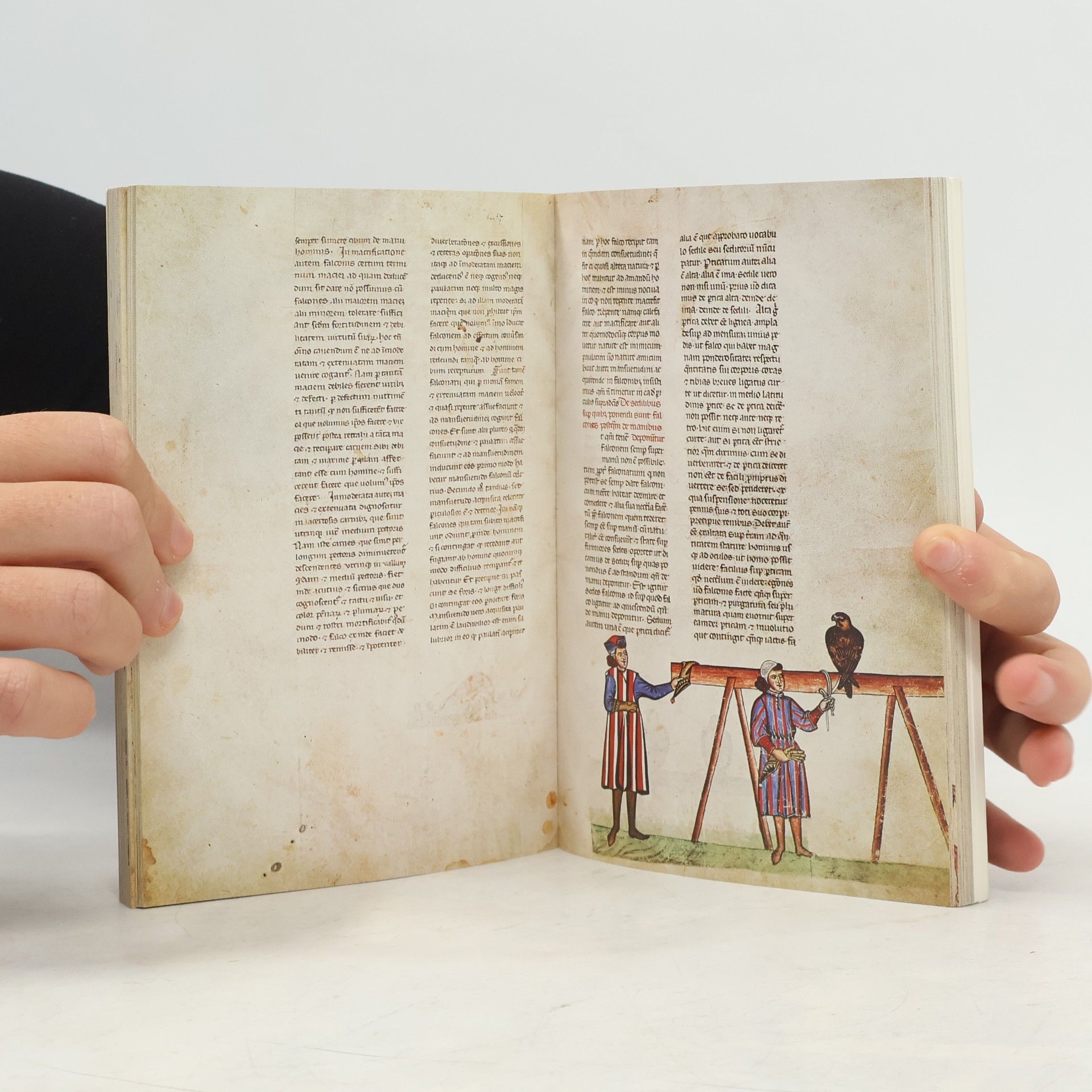 Kaiser Friedrich Ii. Das Falkenbuch Kaiser Friedrichs II.
