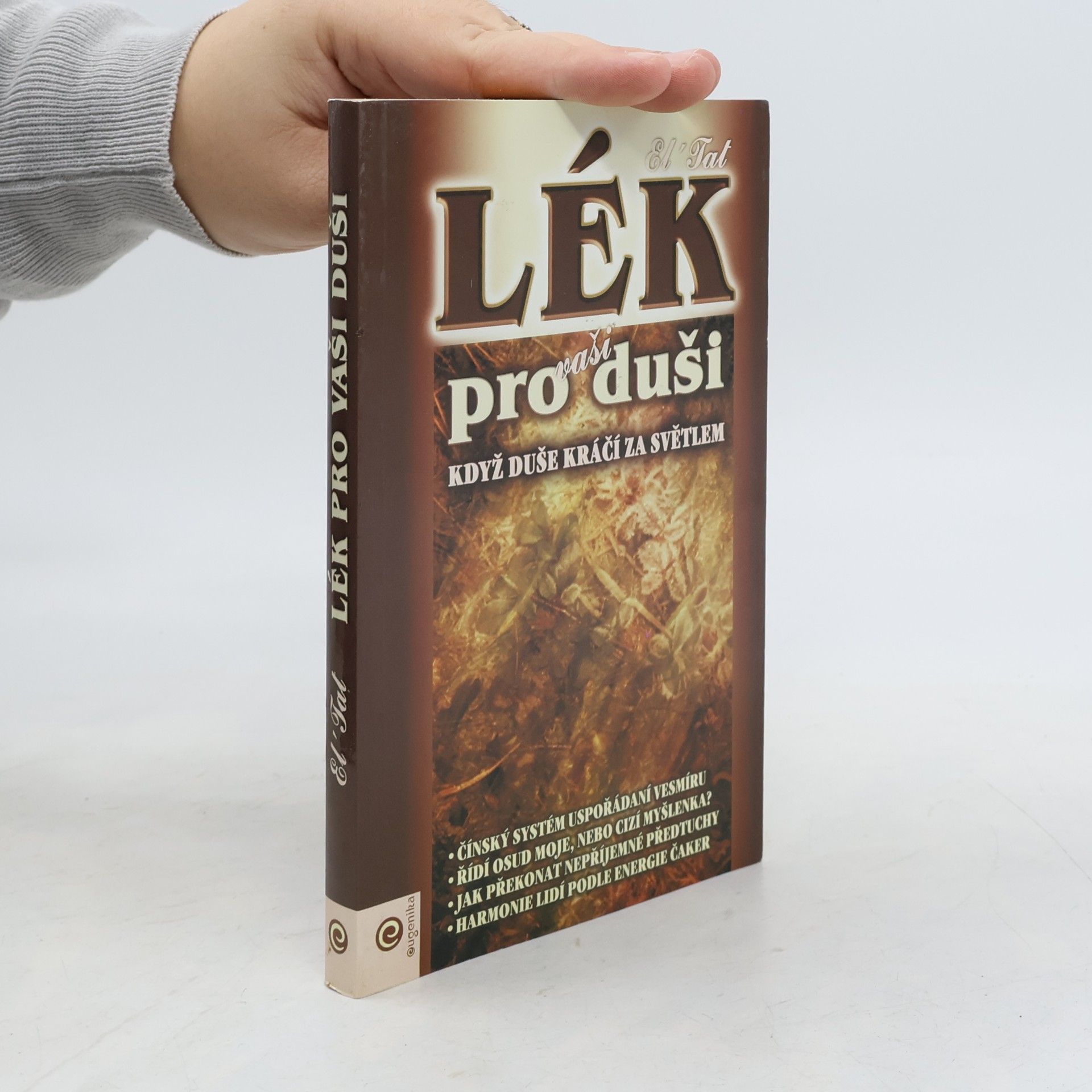 Anděla Kramlová Lék pro vaši duši : když duše kráčí za světlem