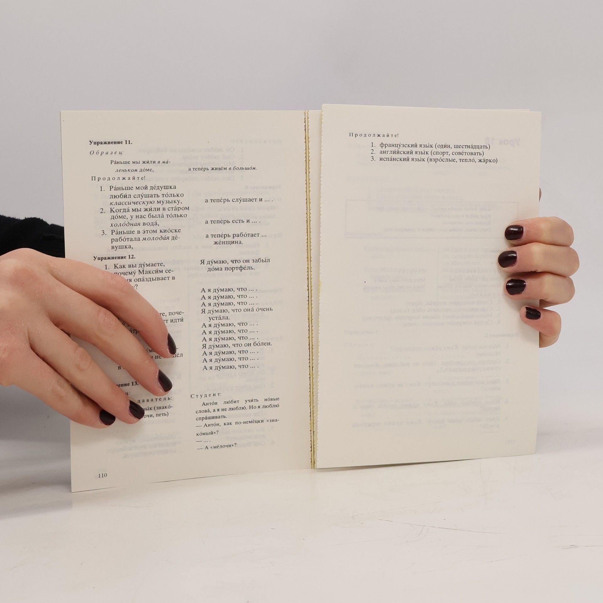 Autorenkollektiv Русский язык для всех