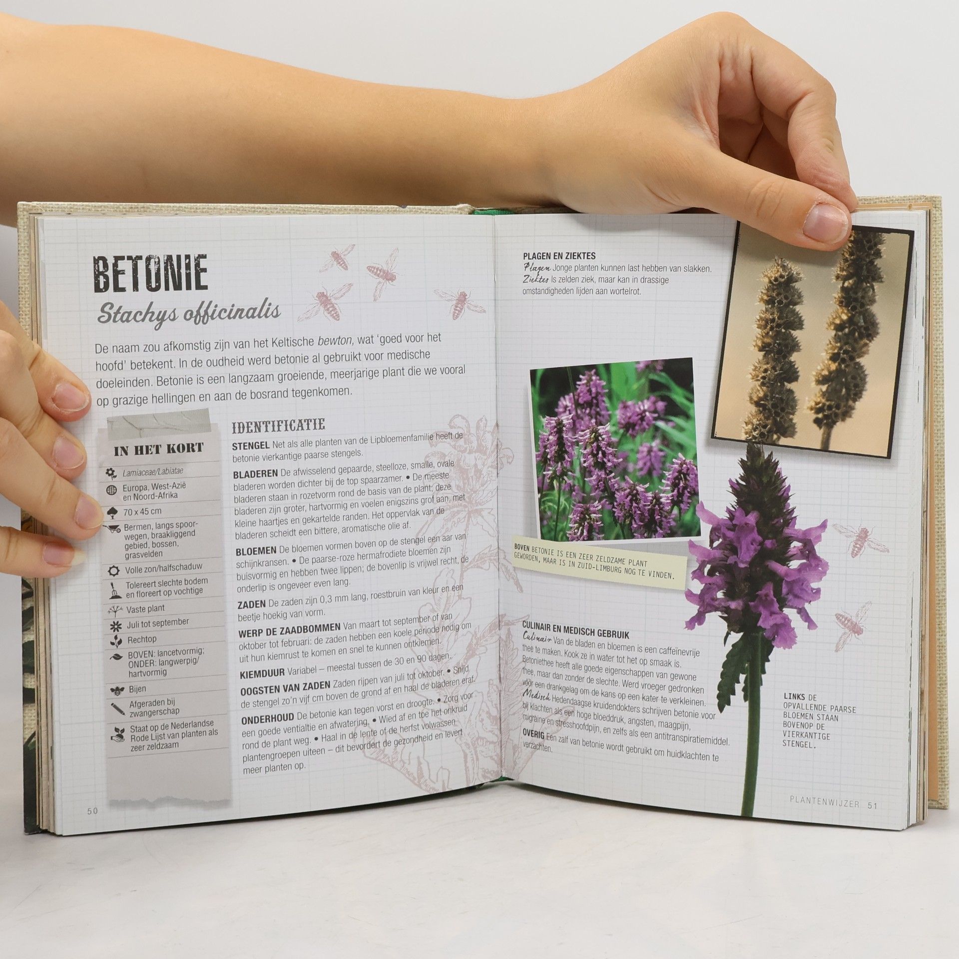 Josie Jeffery Tirion natuur Zaadbommen: guerrilla tuinieren met bloemen