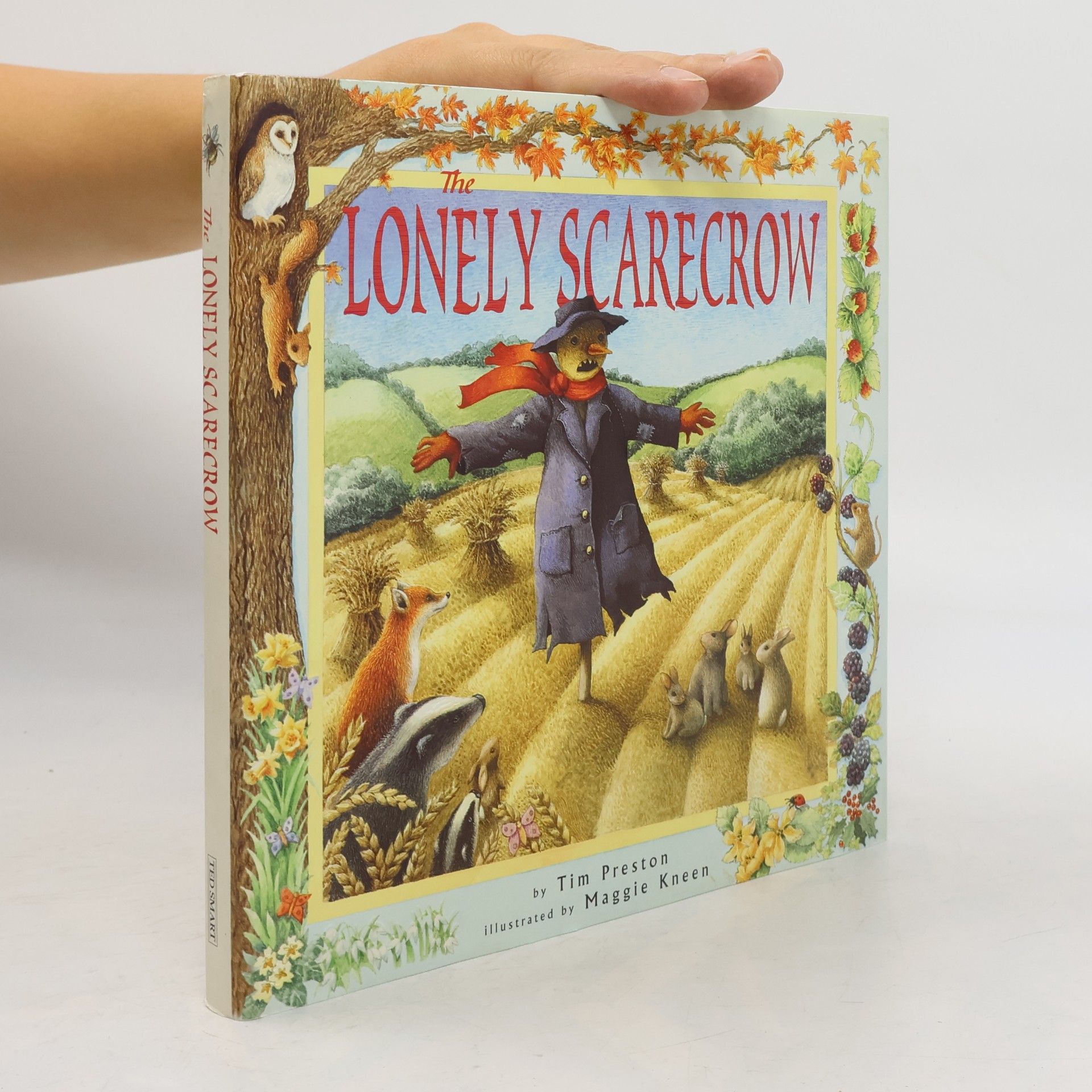 Maggie Kneen Tim Preston The Lonely Scarecrow