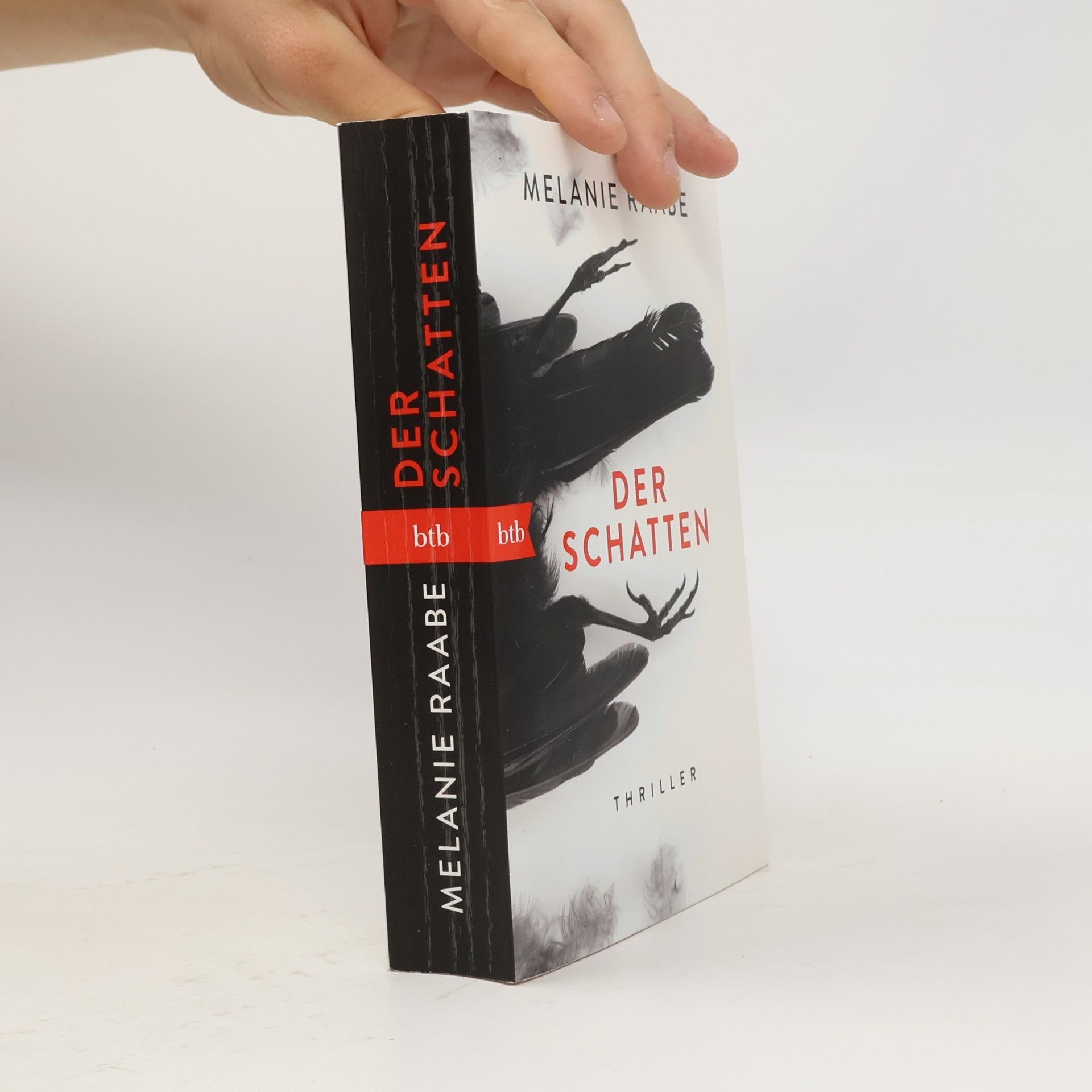 Melanie Raabe Der Schatten