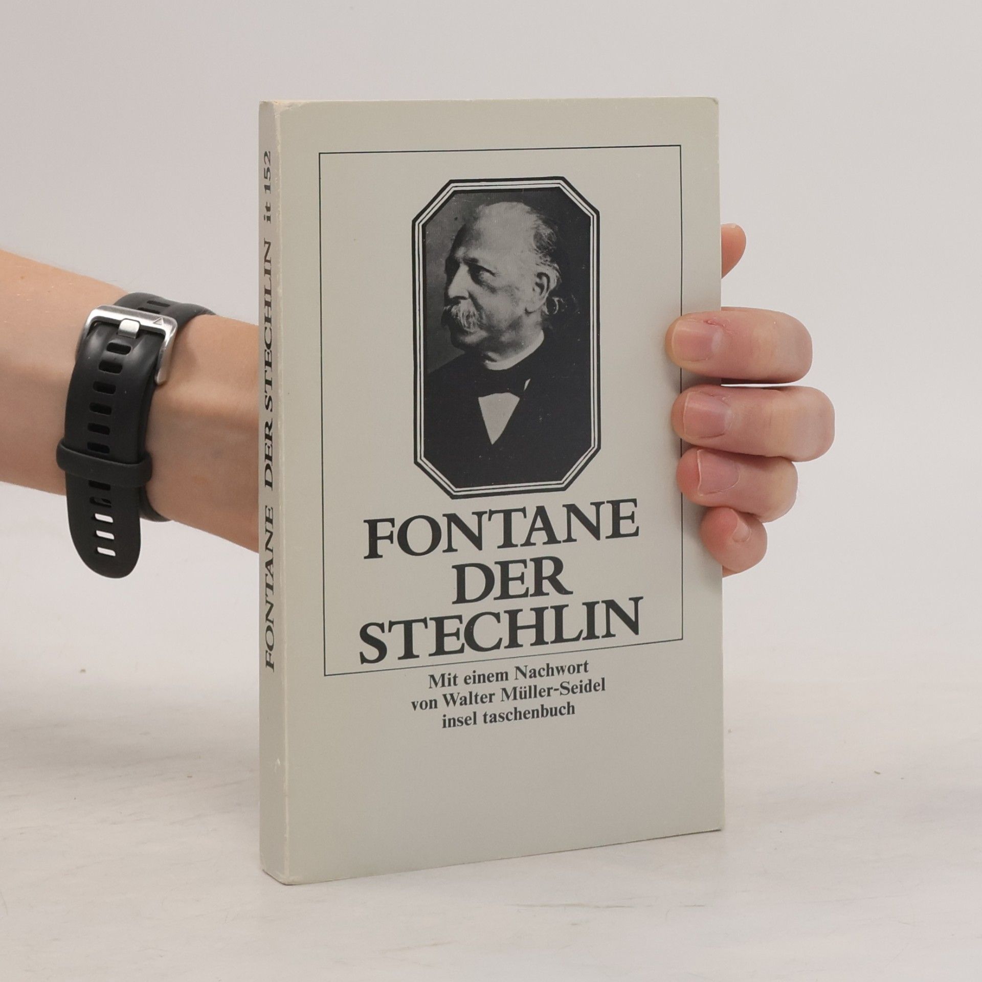 Theodor Fontane Der Stechlin