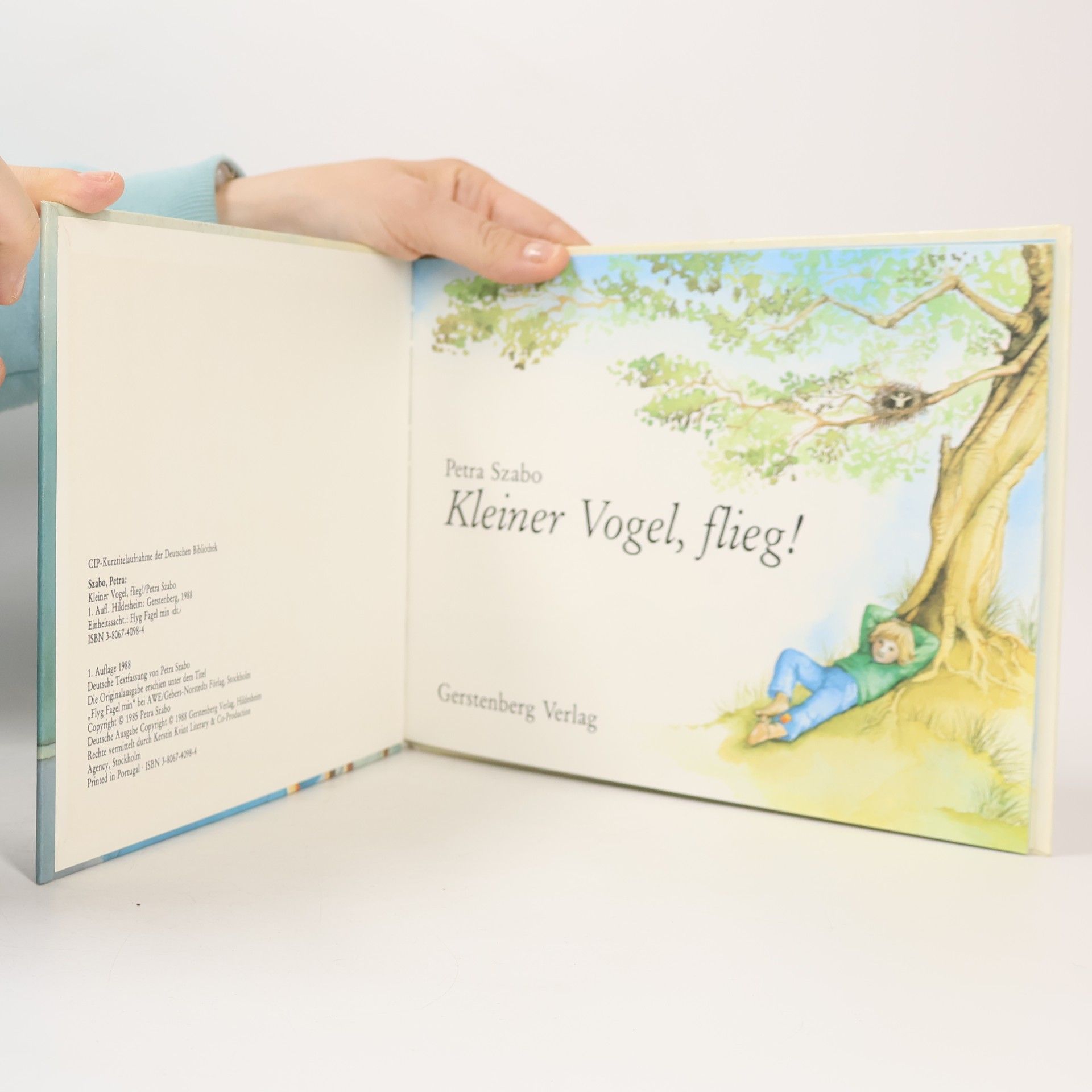 Petra Szabo Kleiner Vogel, flieg