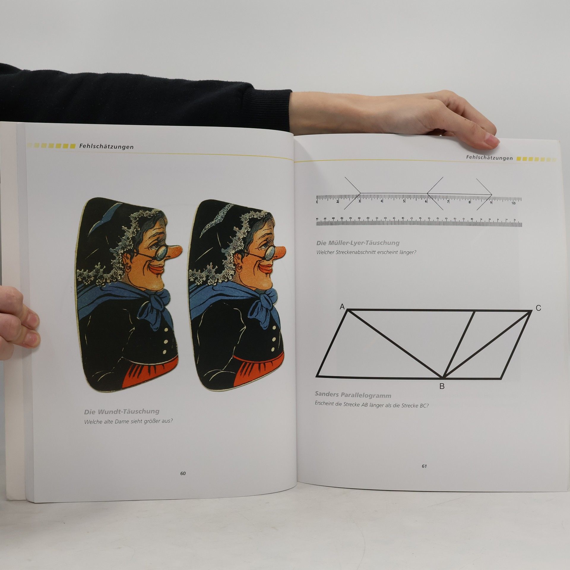 Al Seckel Optische Illusionen