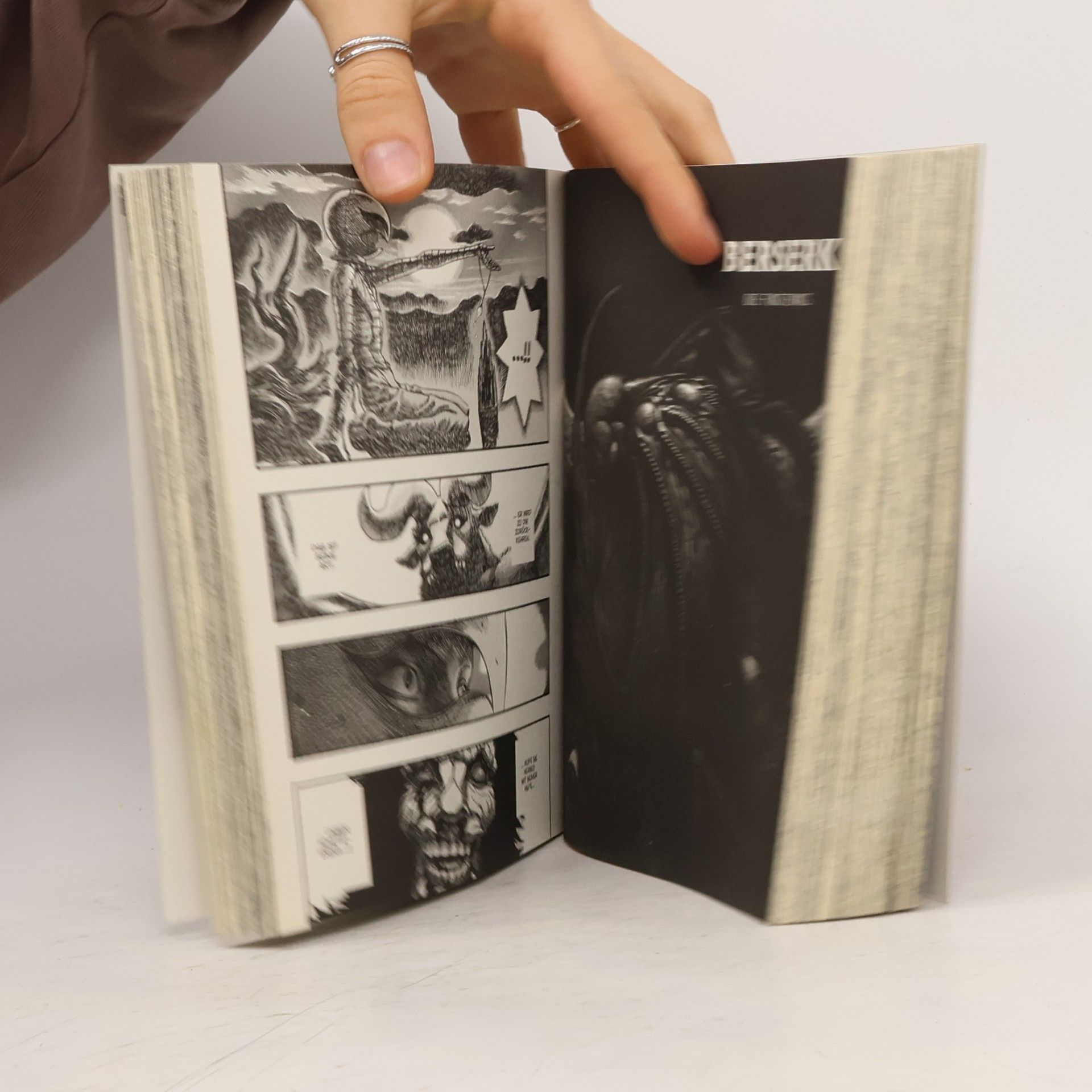 Kentaro Miura Berserk Max Bd.6