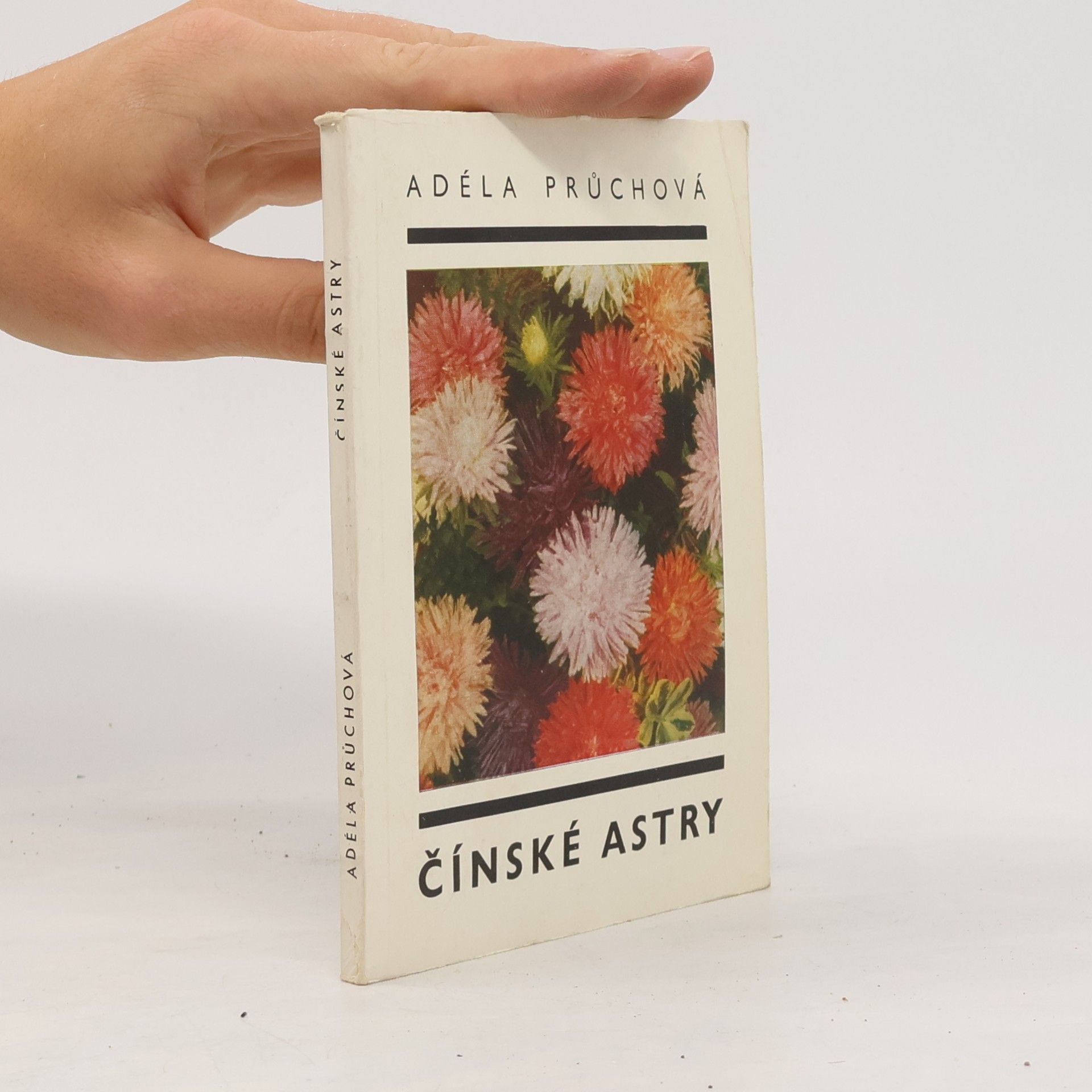 Adéla Průchová Čínske astry