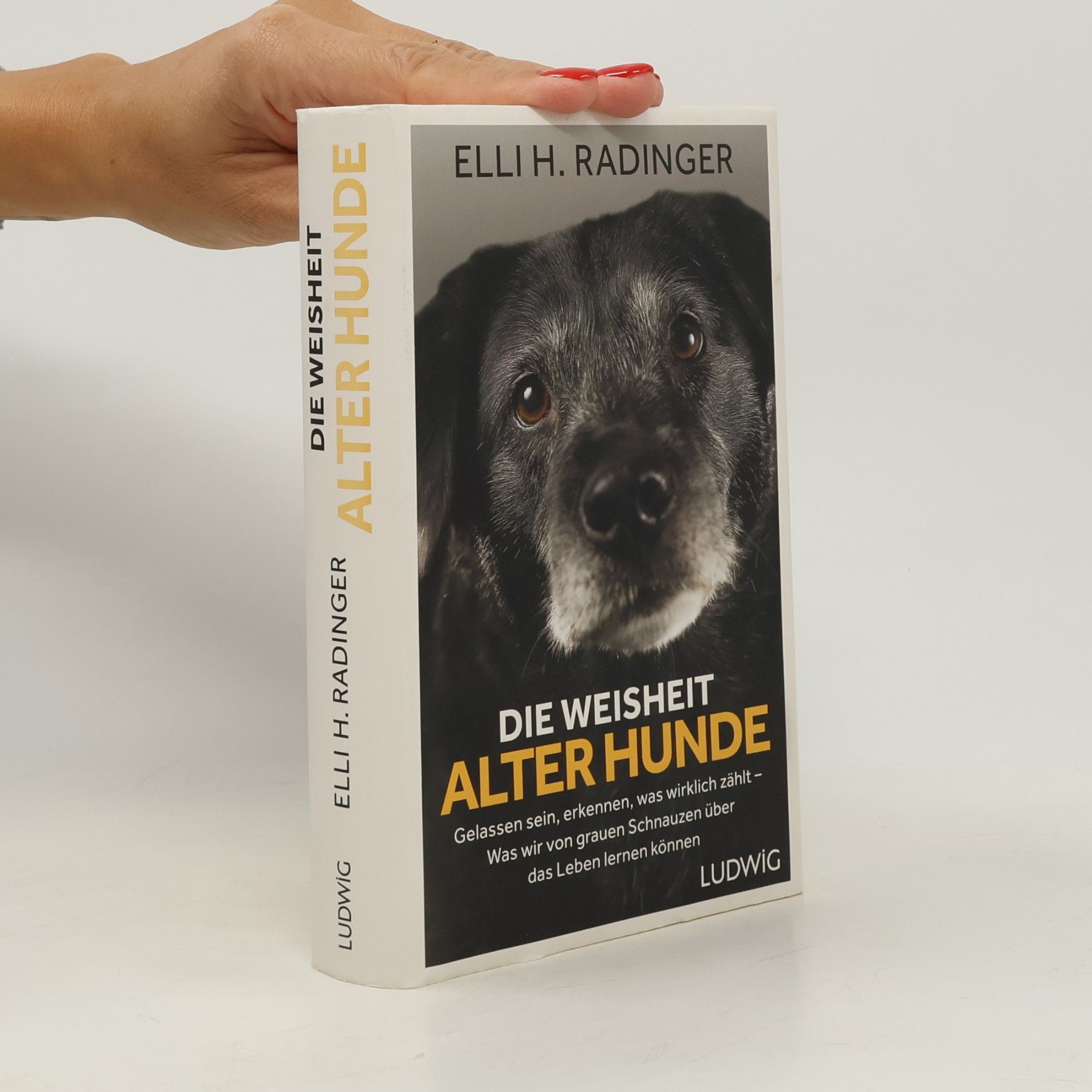 Elli H. Radinger Die Weisheit alter Hunde