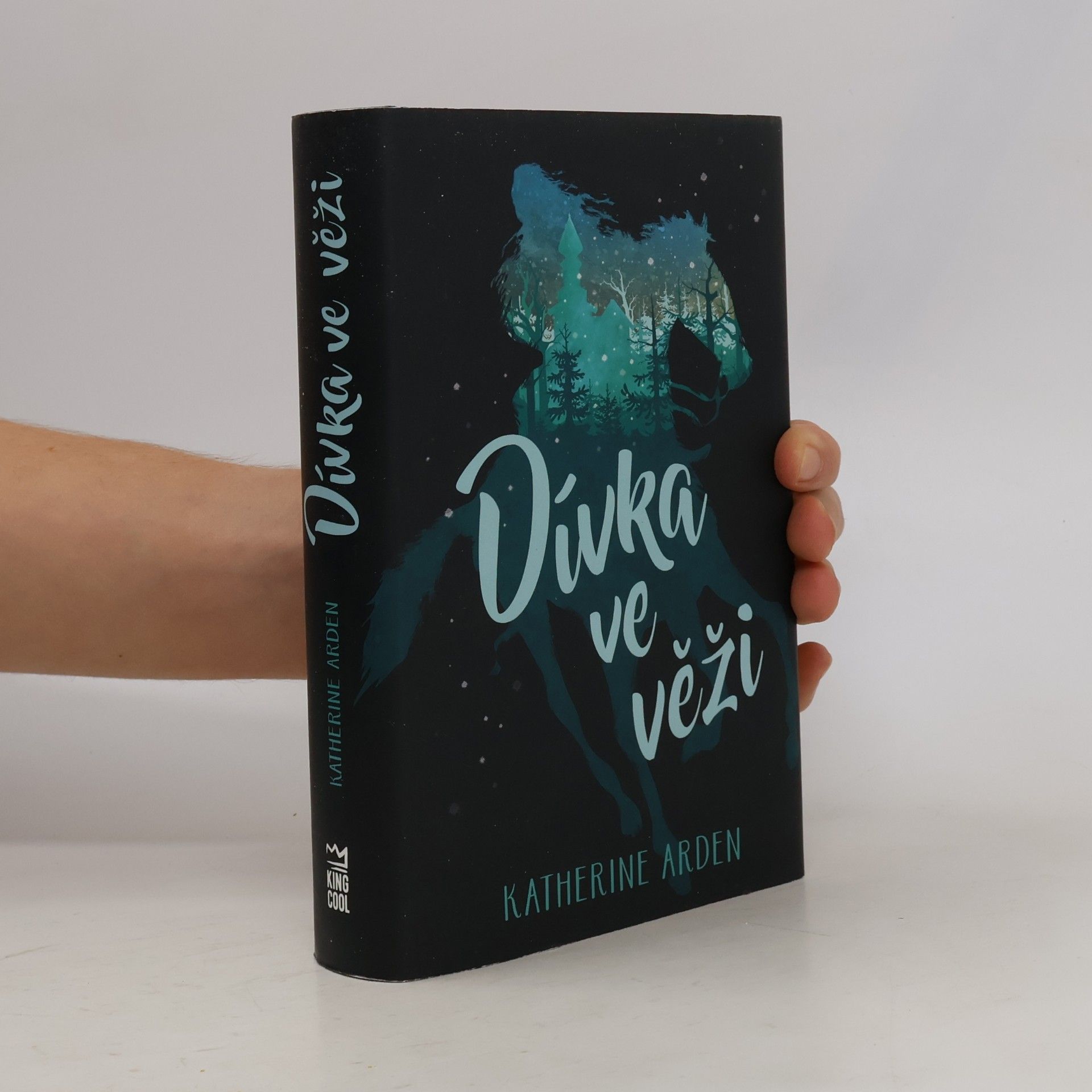 Katherine Arden Dívka ve věži