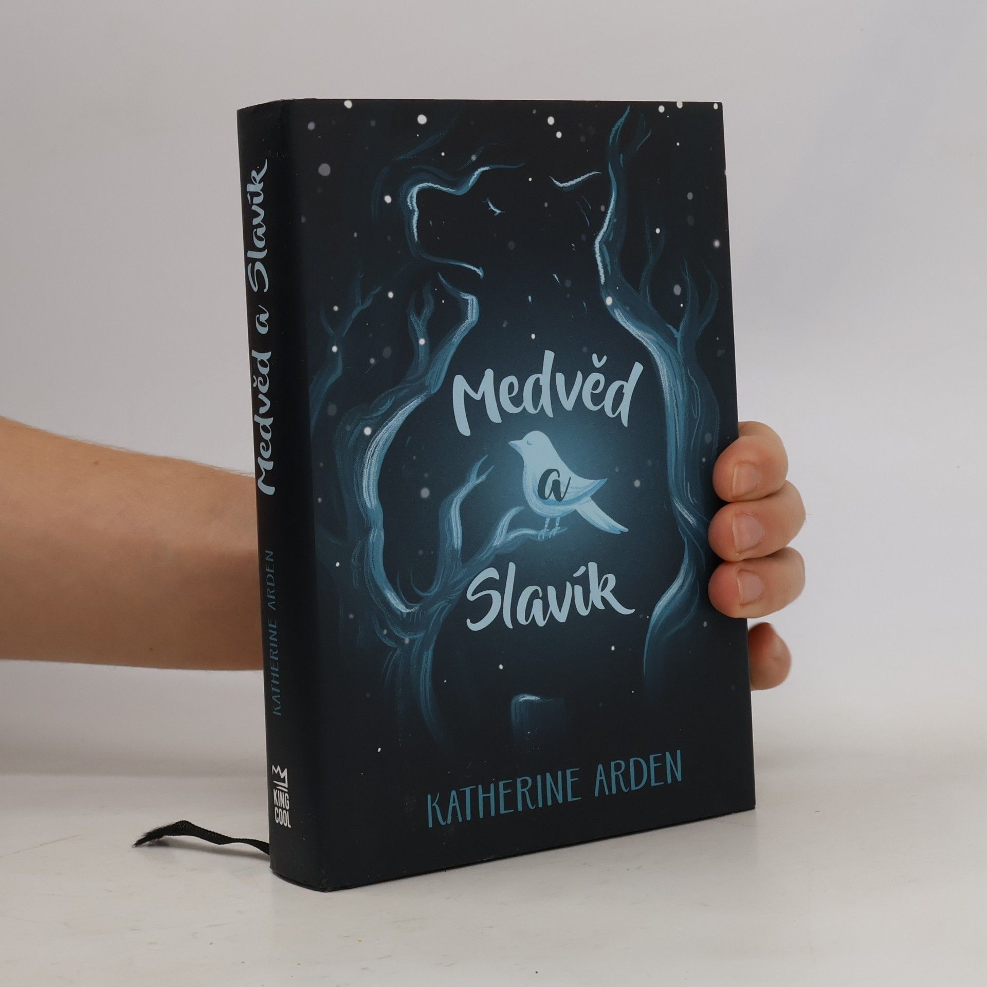 Katherine Arden Medvěd a Slavík