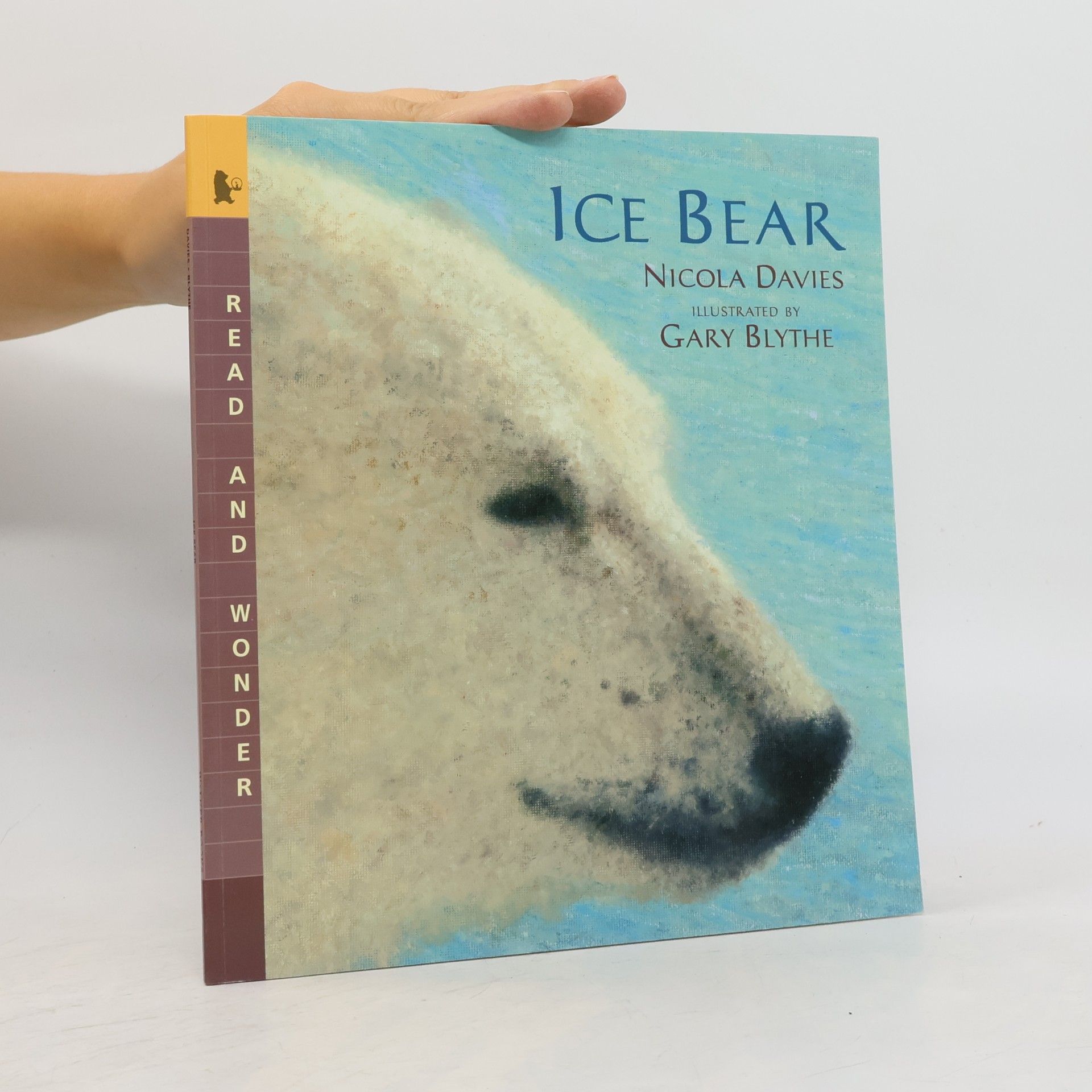 Nicola Davies Gary Blythe Ice Bear