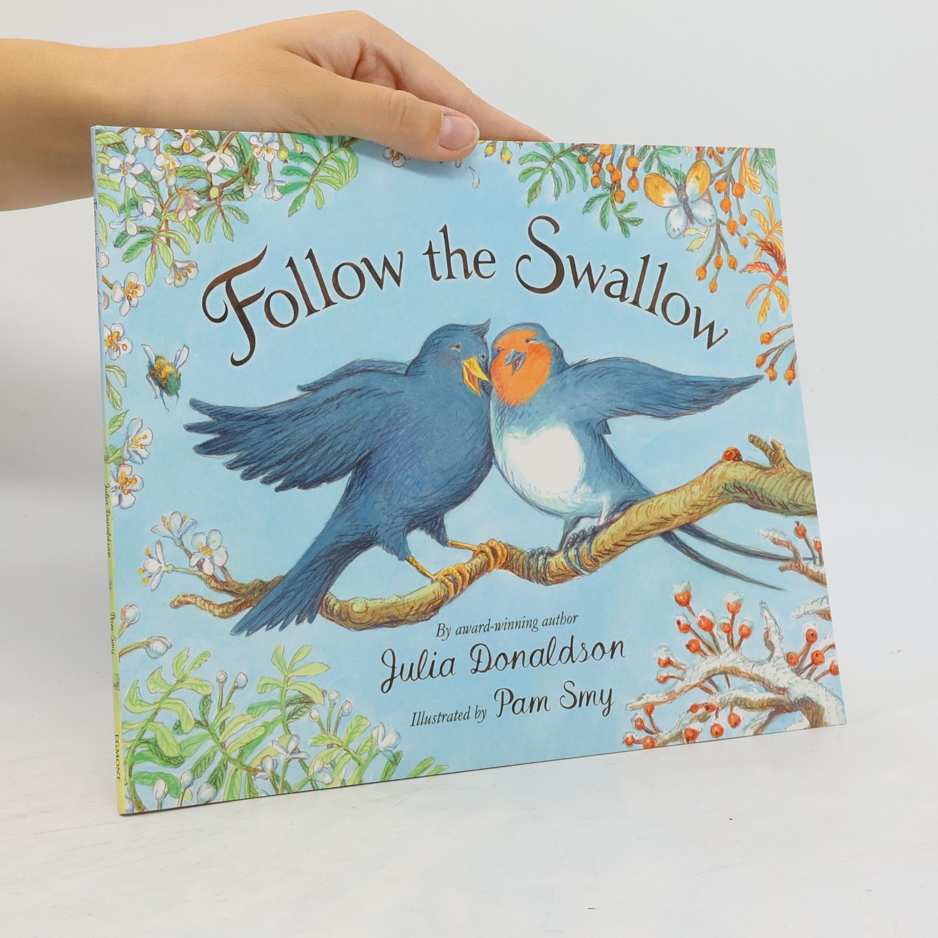 Julia Donaldson Follow the Swallow