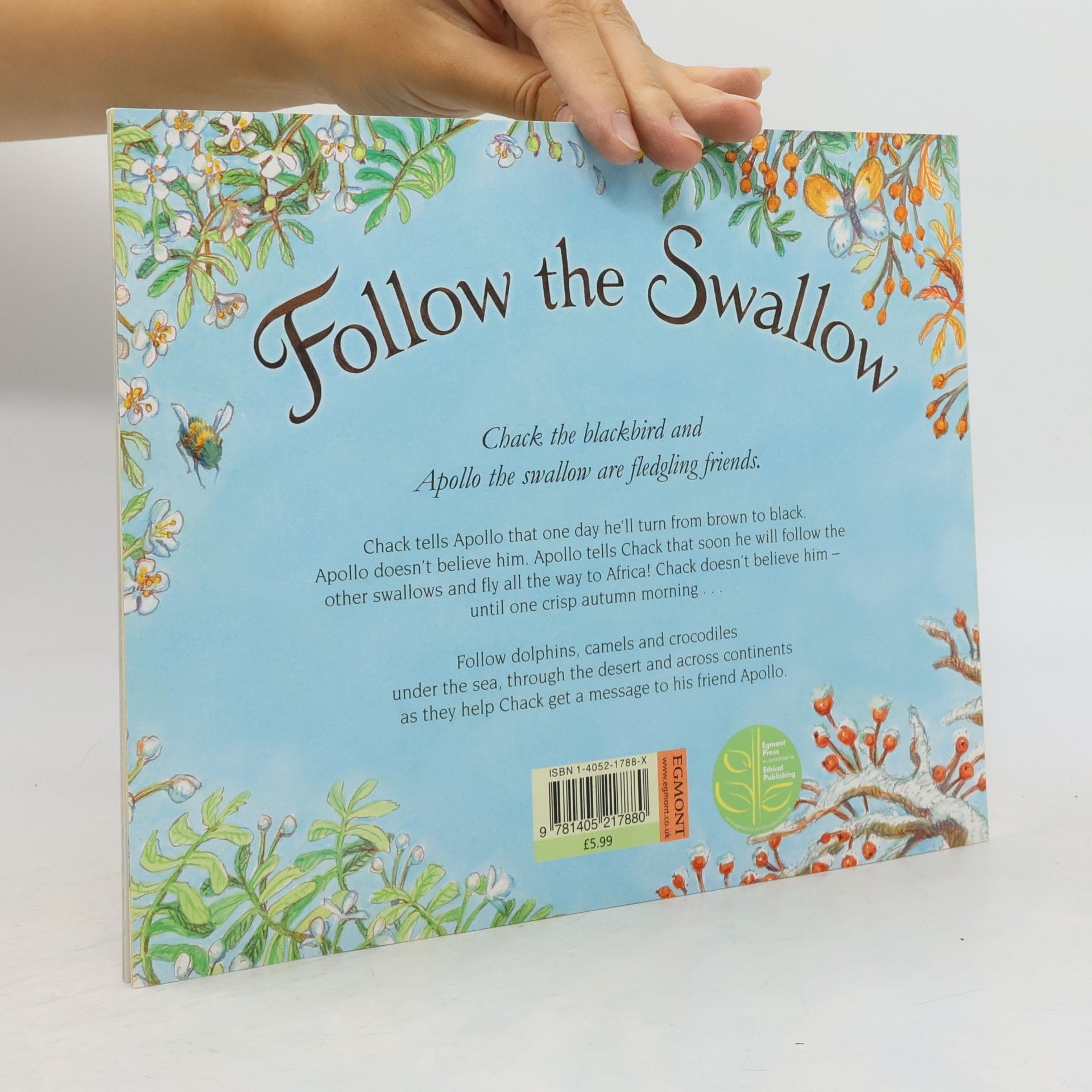 Julia Donaldson Follow the Swallow
