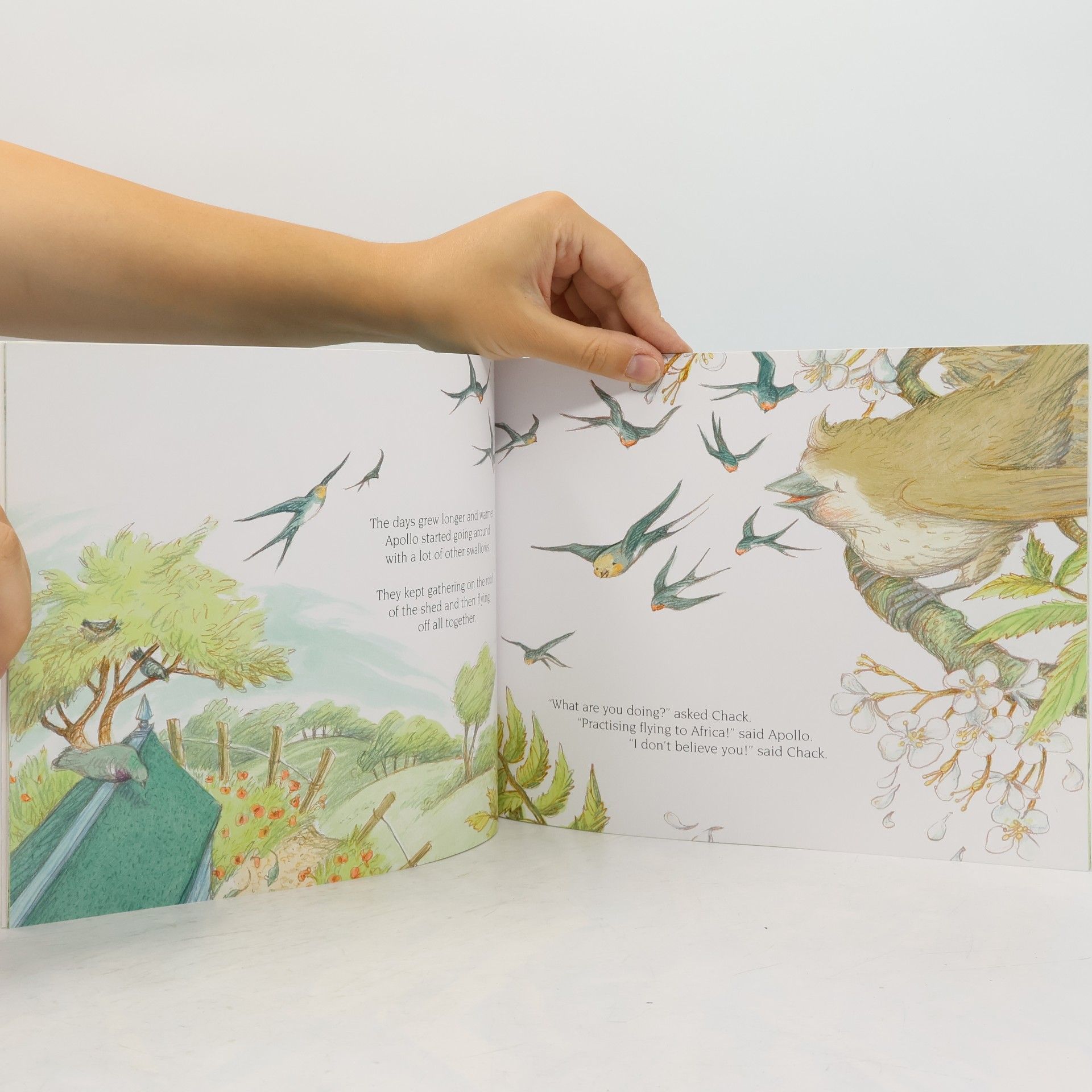 Julia Donaldson Follow the Swallow