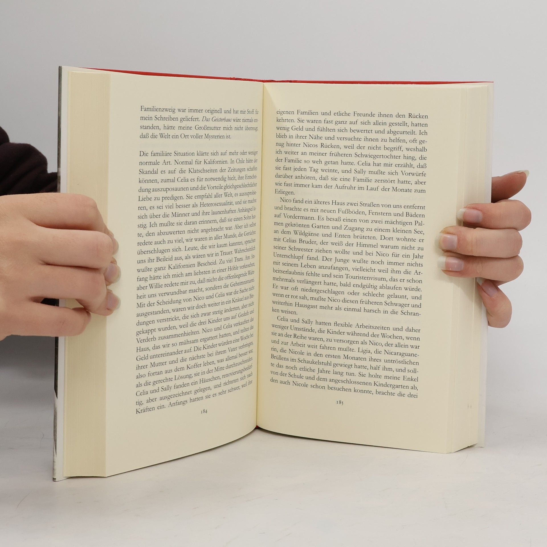 Isabel Allende Das Siegel der Tage