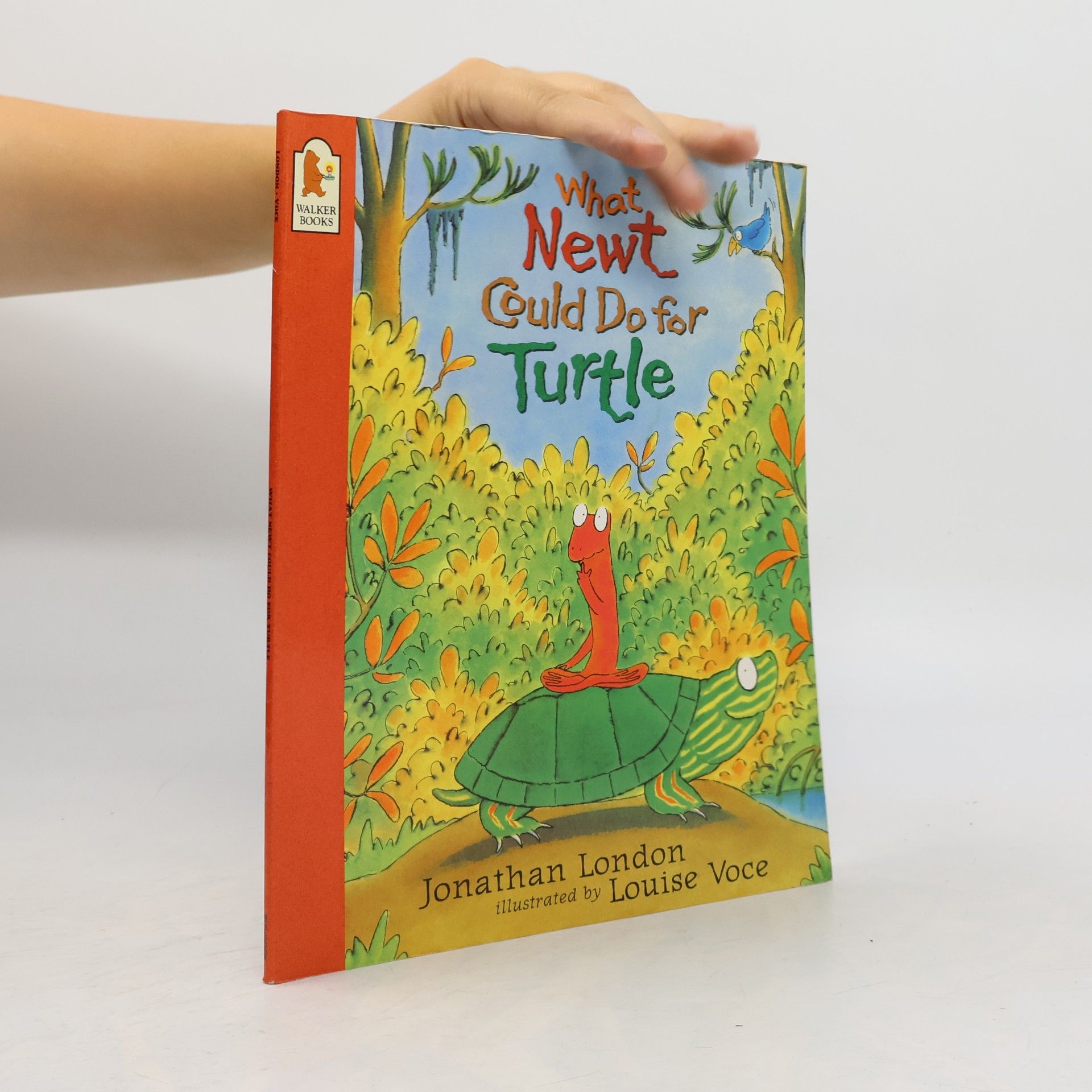 What Newt Could Do for Turtle