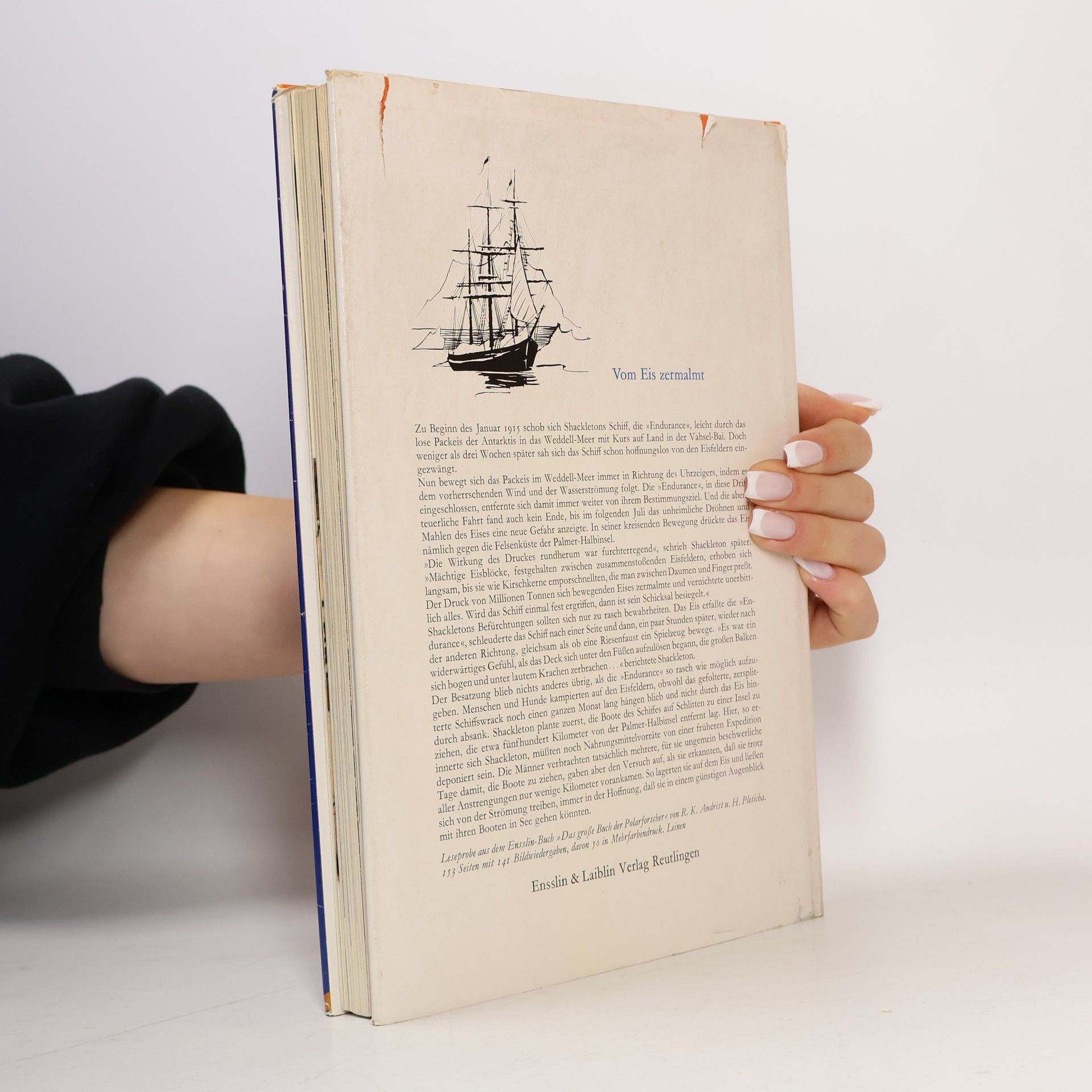 Jay WIliams Das große Buch der Kreuzritter
