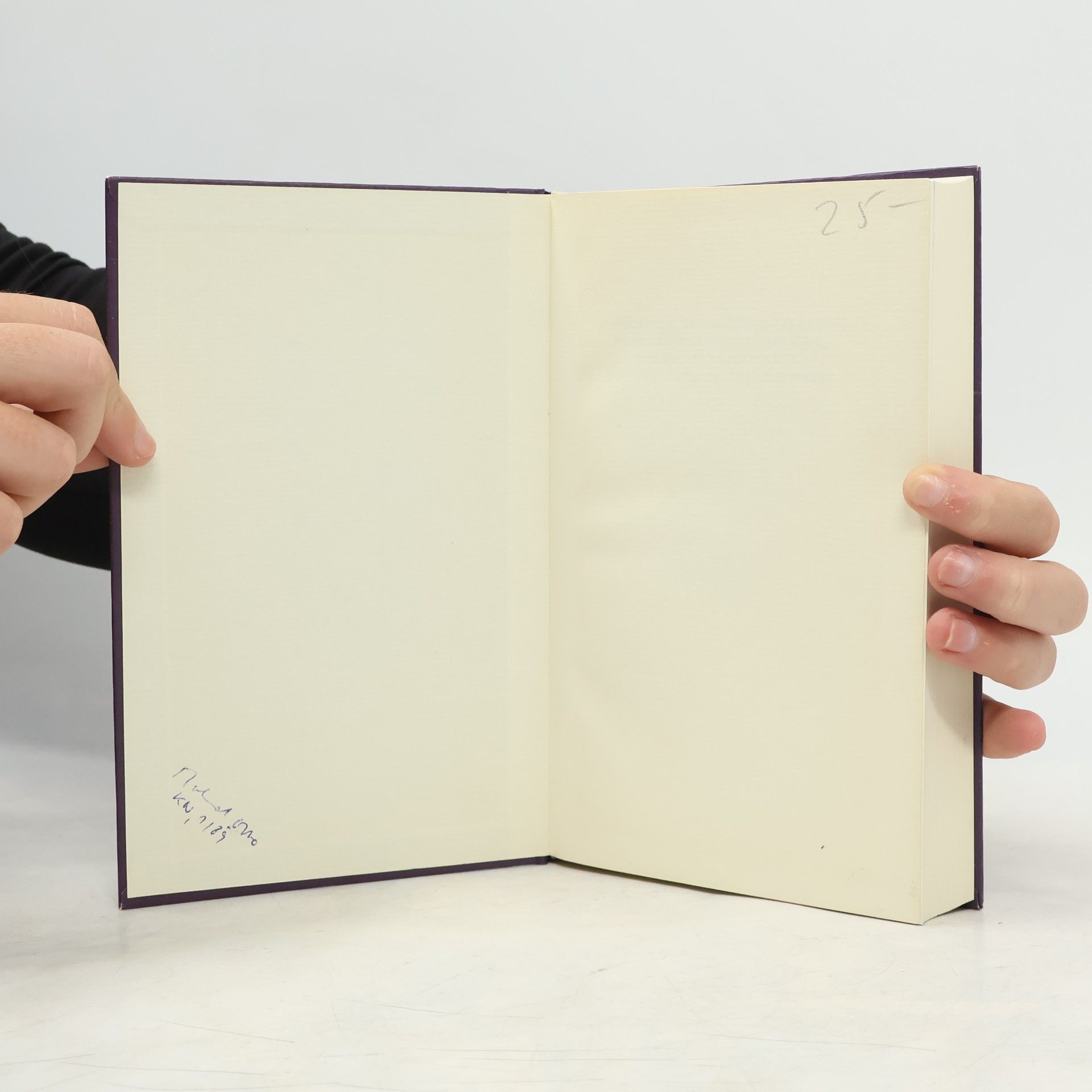 Jochen Schmidt Aufklärung und Gegenaufklärung in der europäischen Literatur, Philosophie und Politik von der Antike bis zur Gegenwart
