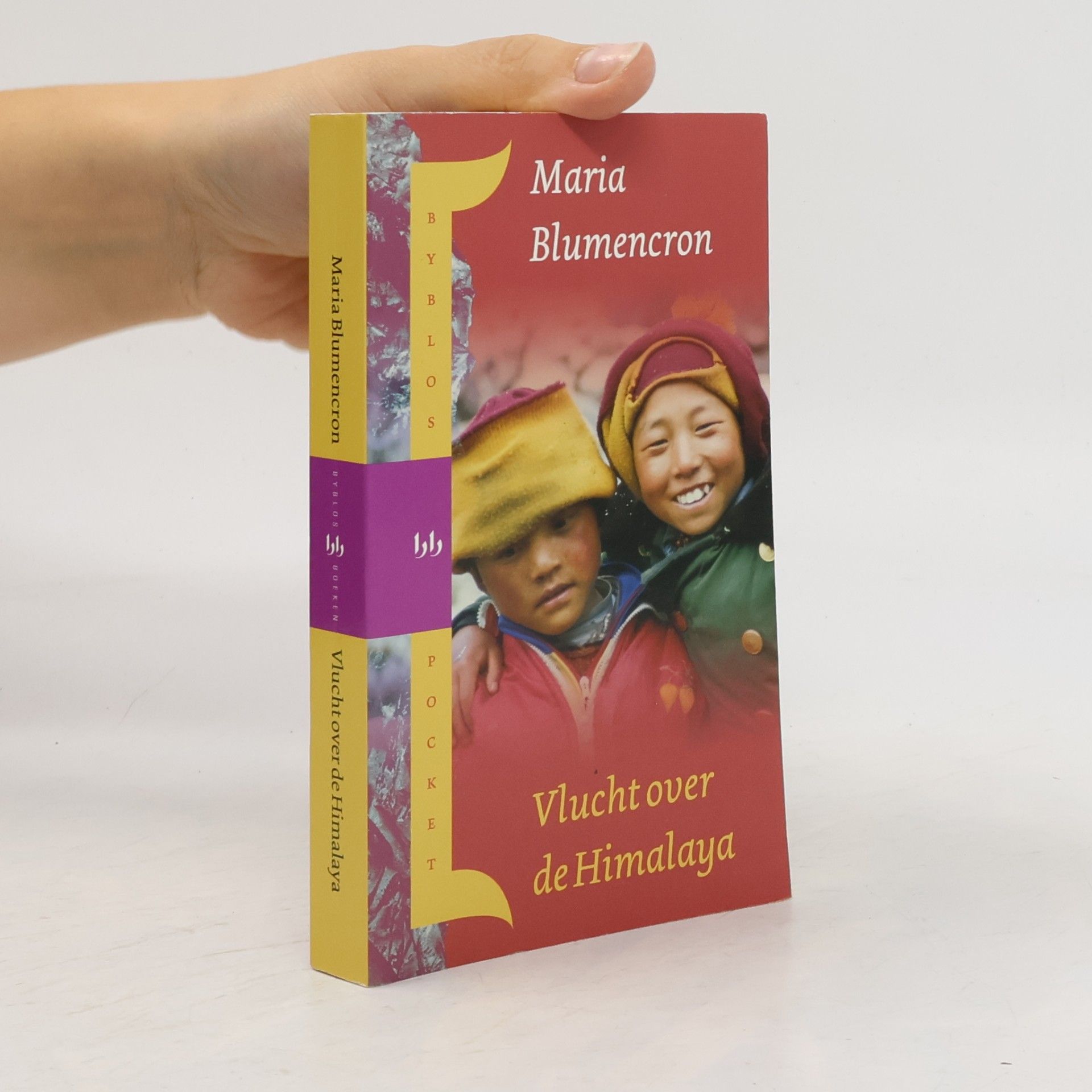 Maria Blumencron Vlucht over de Himalaya