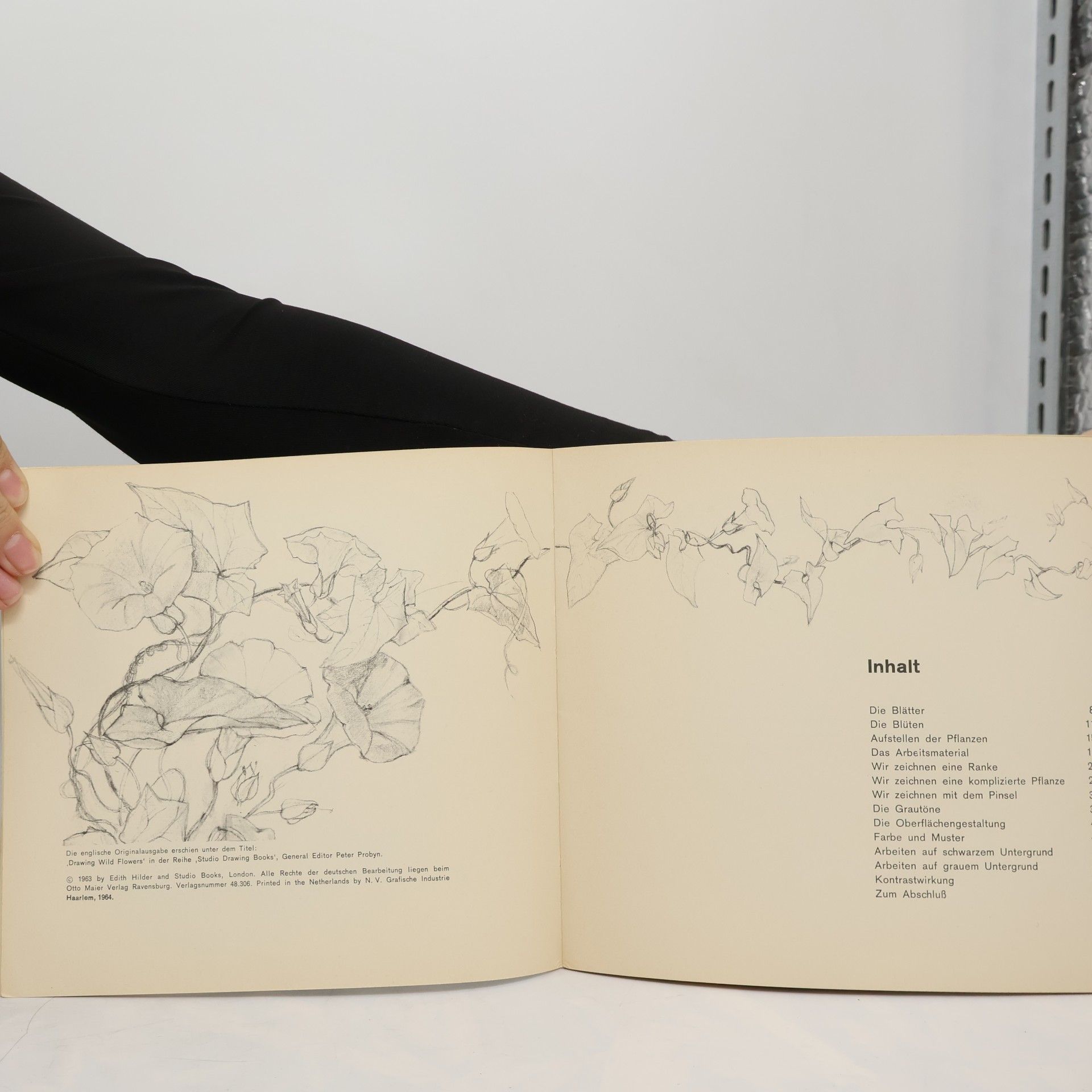 Edith Hilder Blumen in Feld und Wald