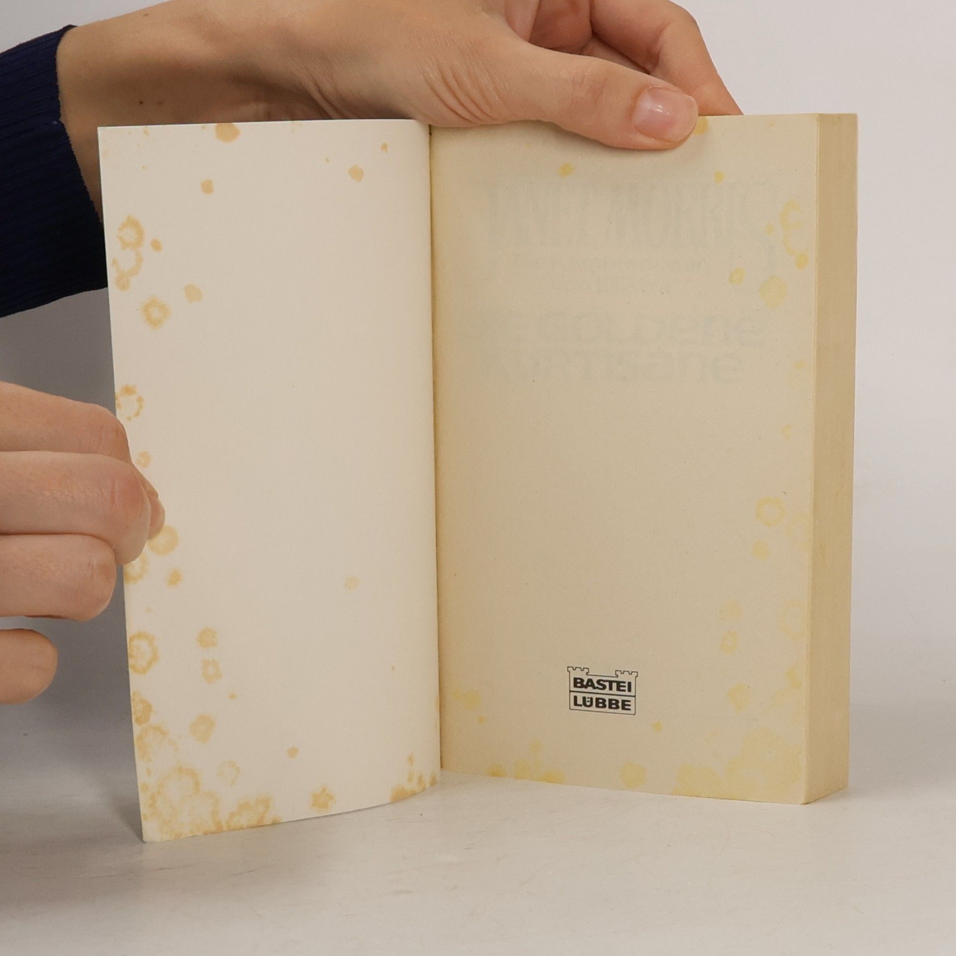 Janet Morris Die goldene Kurtisane