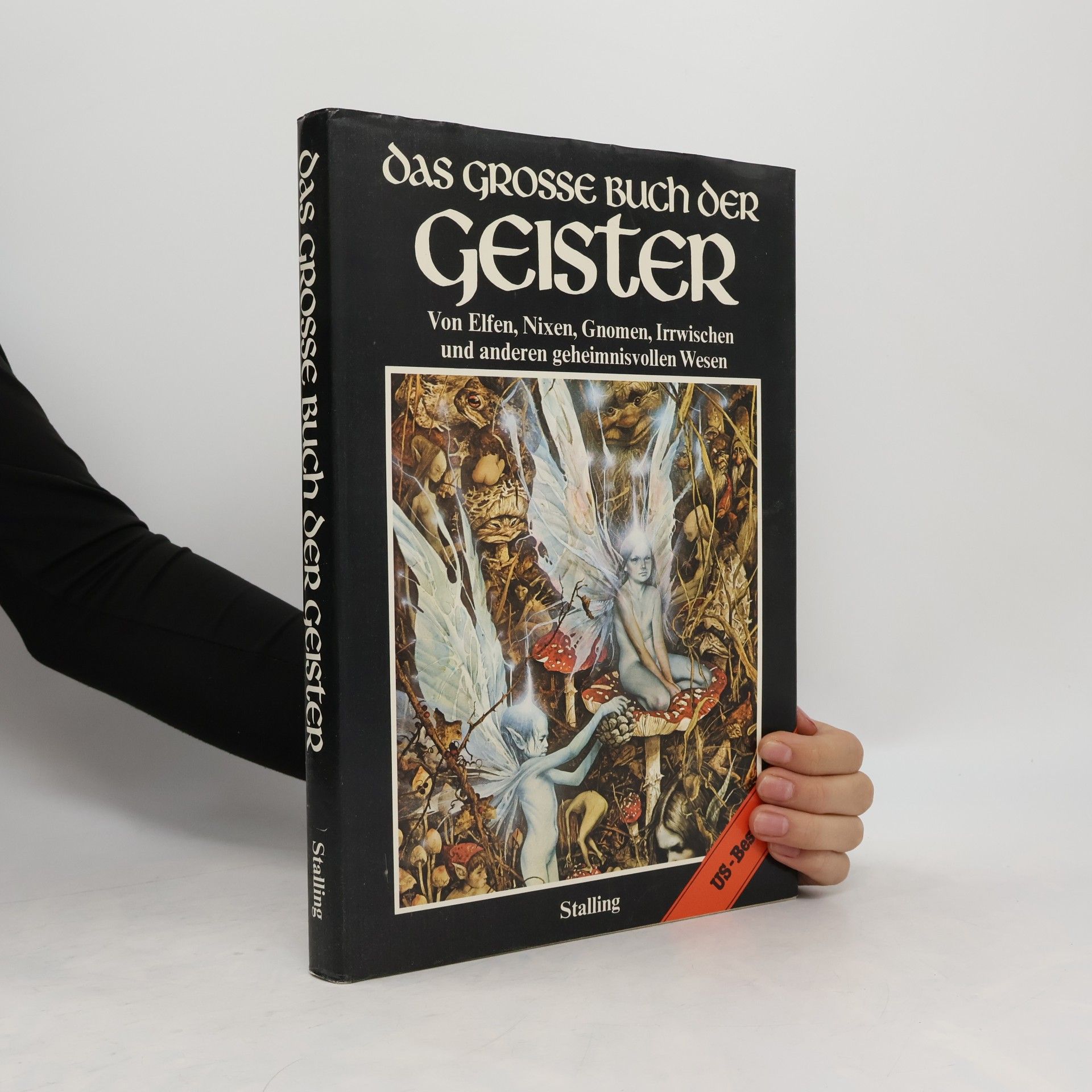 Brian Froud Das grosse Buch der Geister