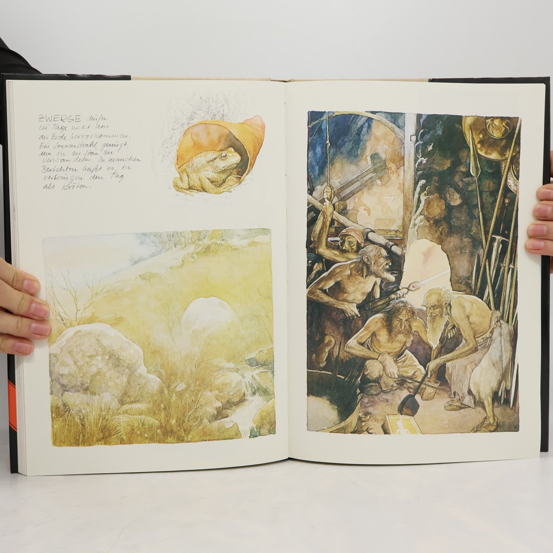Brian Froud Das grosse Buch der Geister