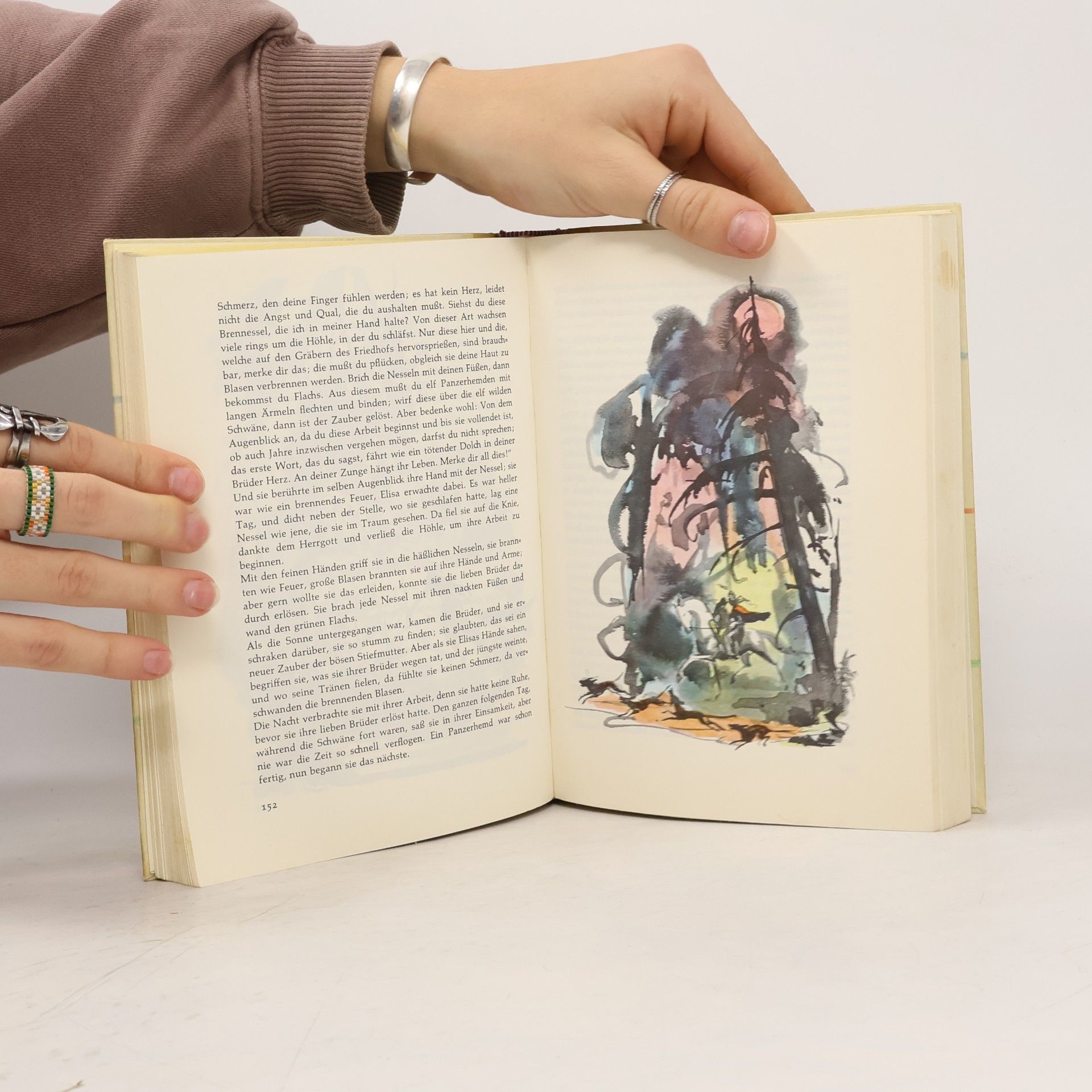 Hans Christian Andersen Andersens Märchen. Die schönsten Märchen