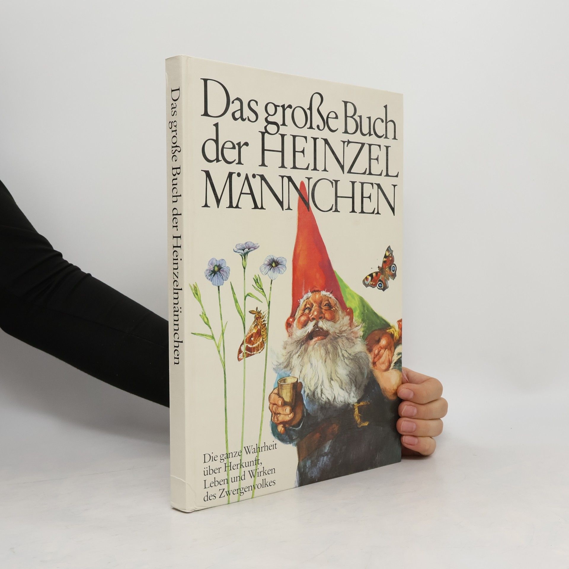 kolektiv Das große Buch der Heinzelmännchen