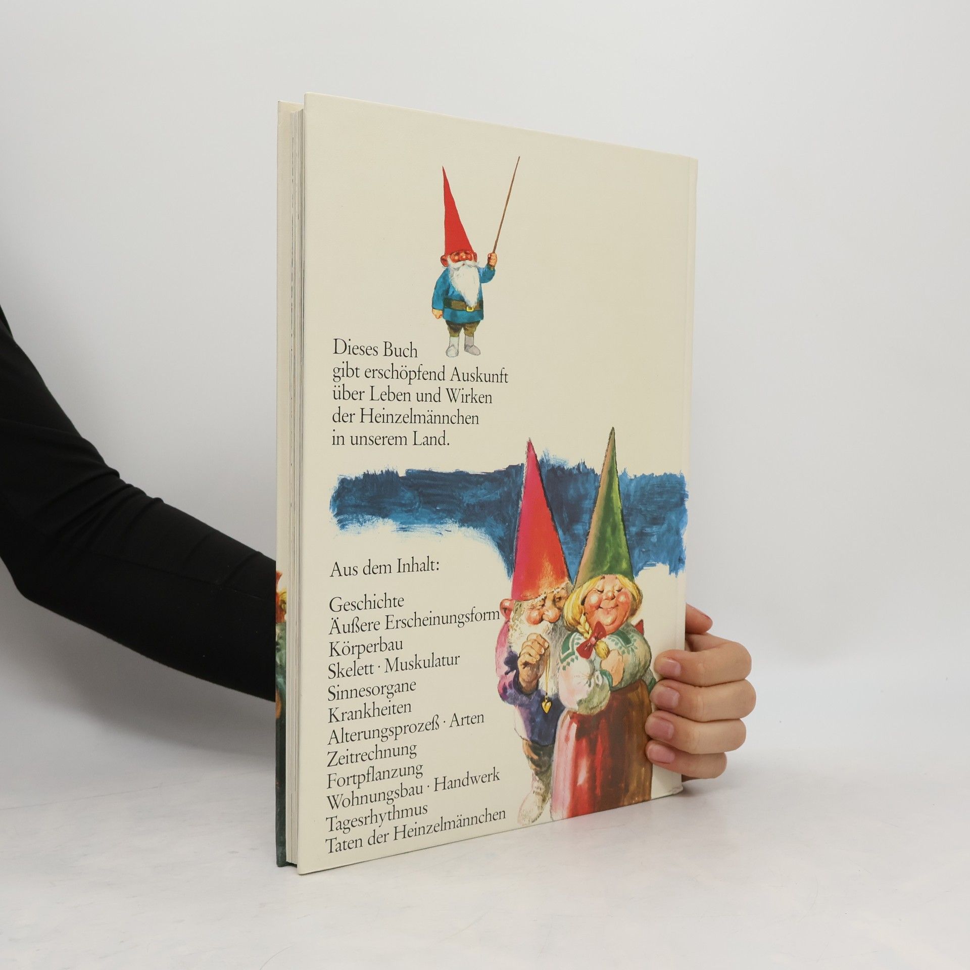 Autorenkollektiv Das große Buch der Heinzelmännchen