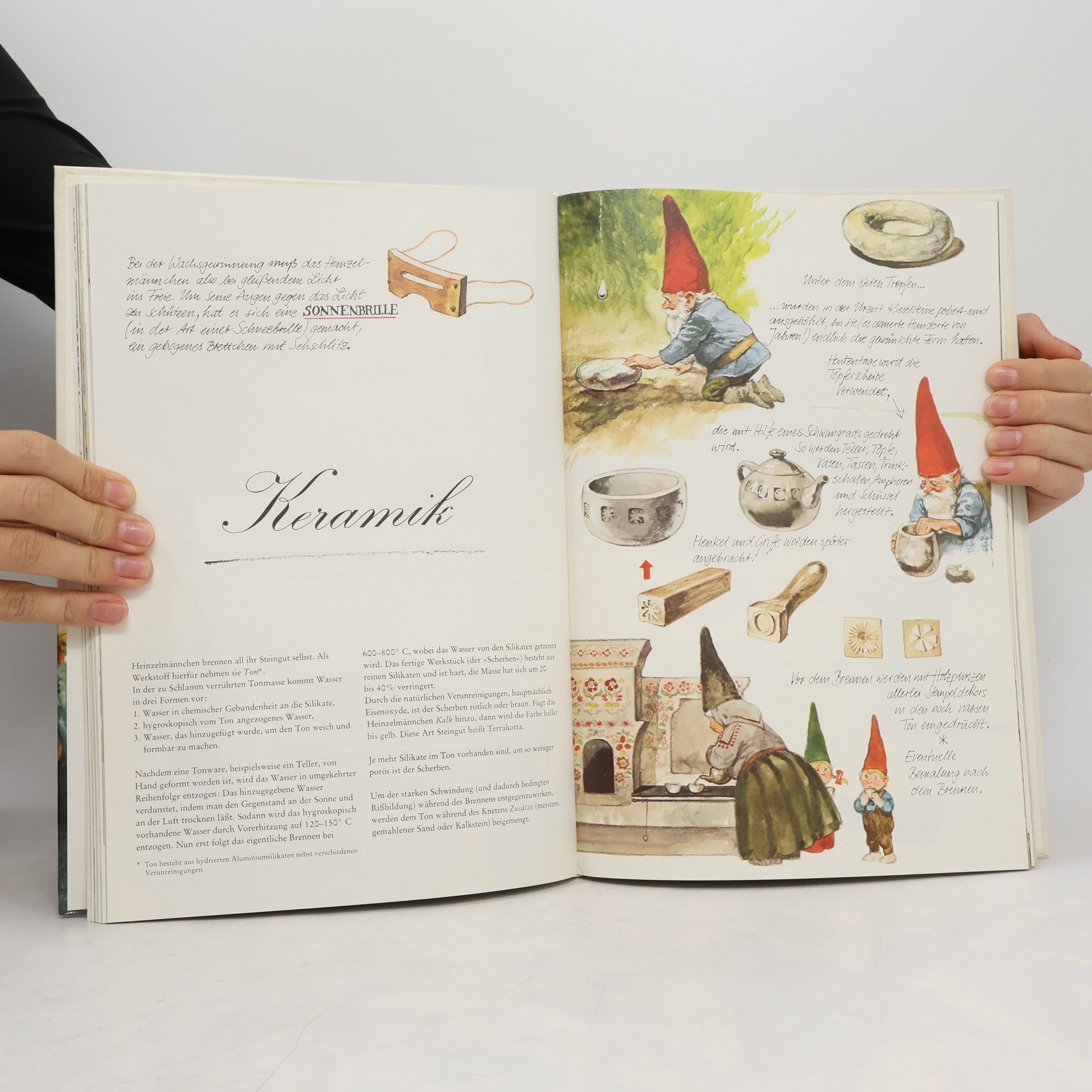 Autorenkollektiv Das große Buch der Heinzelmännchen