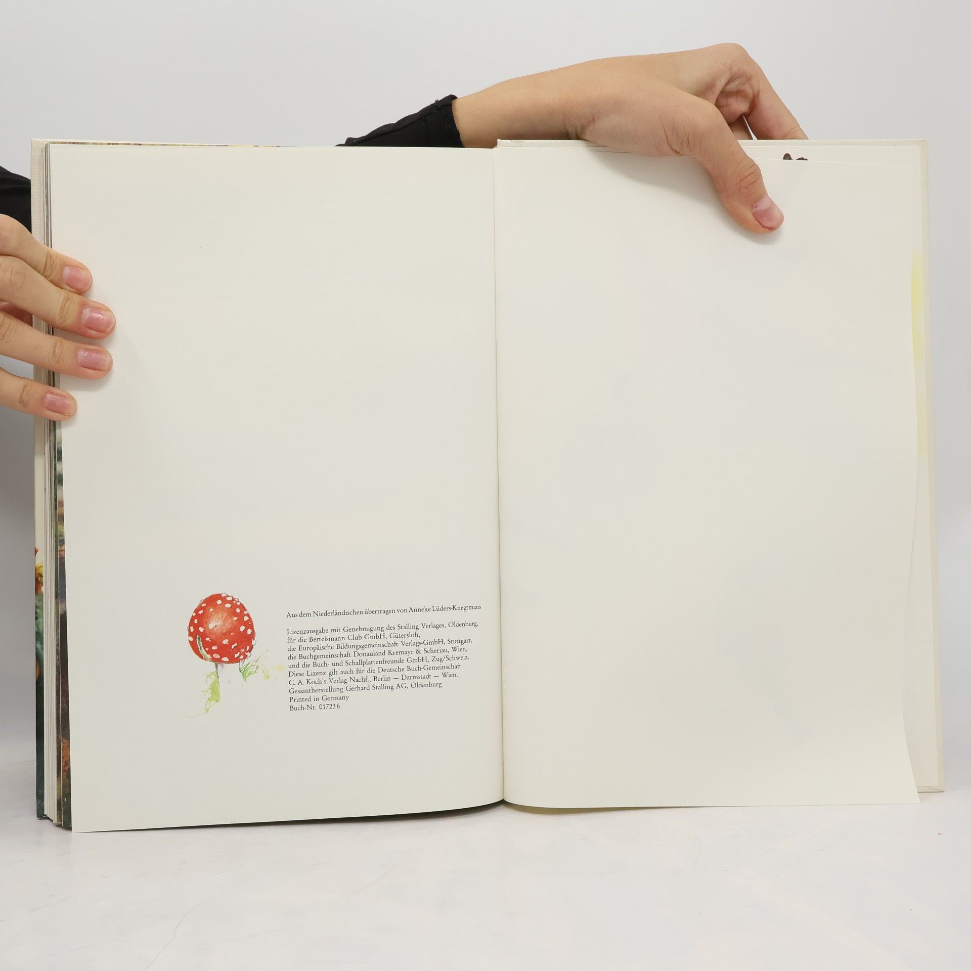 Autorenkollektiv Das große Buch der Heinzelmännchen