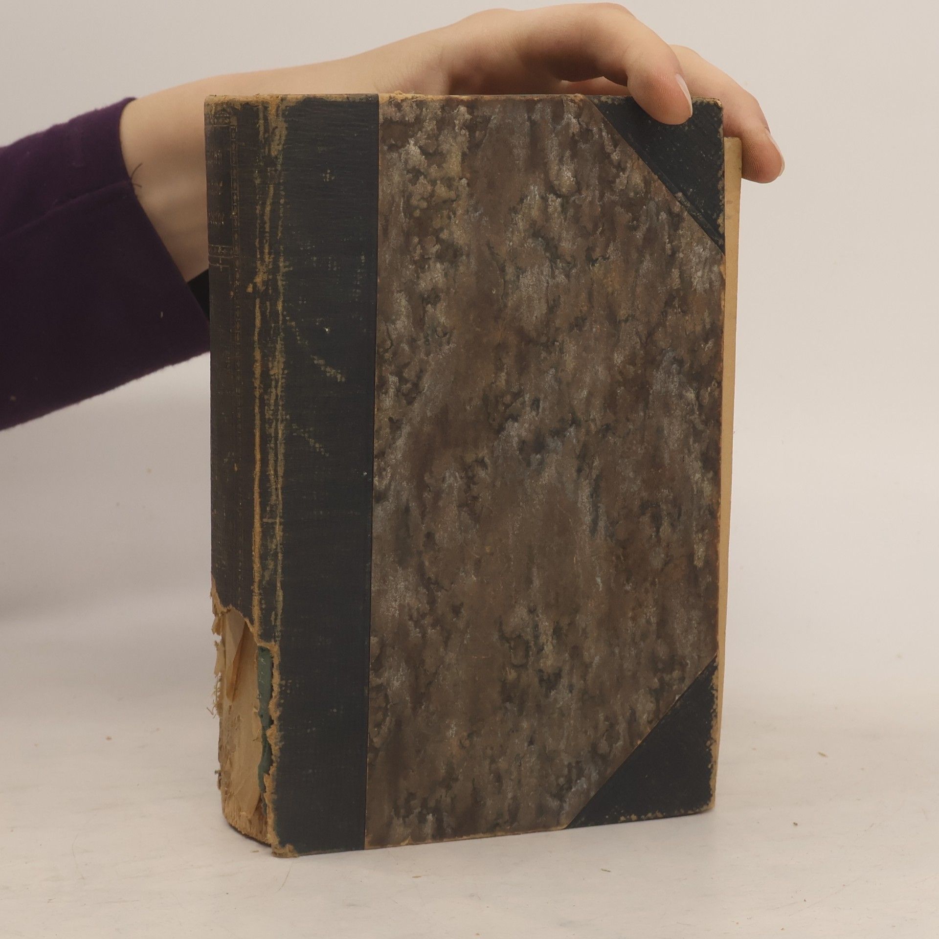 Johann Peter Eckermann Gespräche mit Goethe in den lezten Jahren seines Lebens