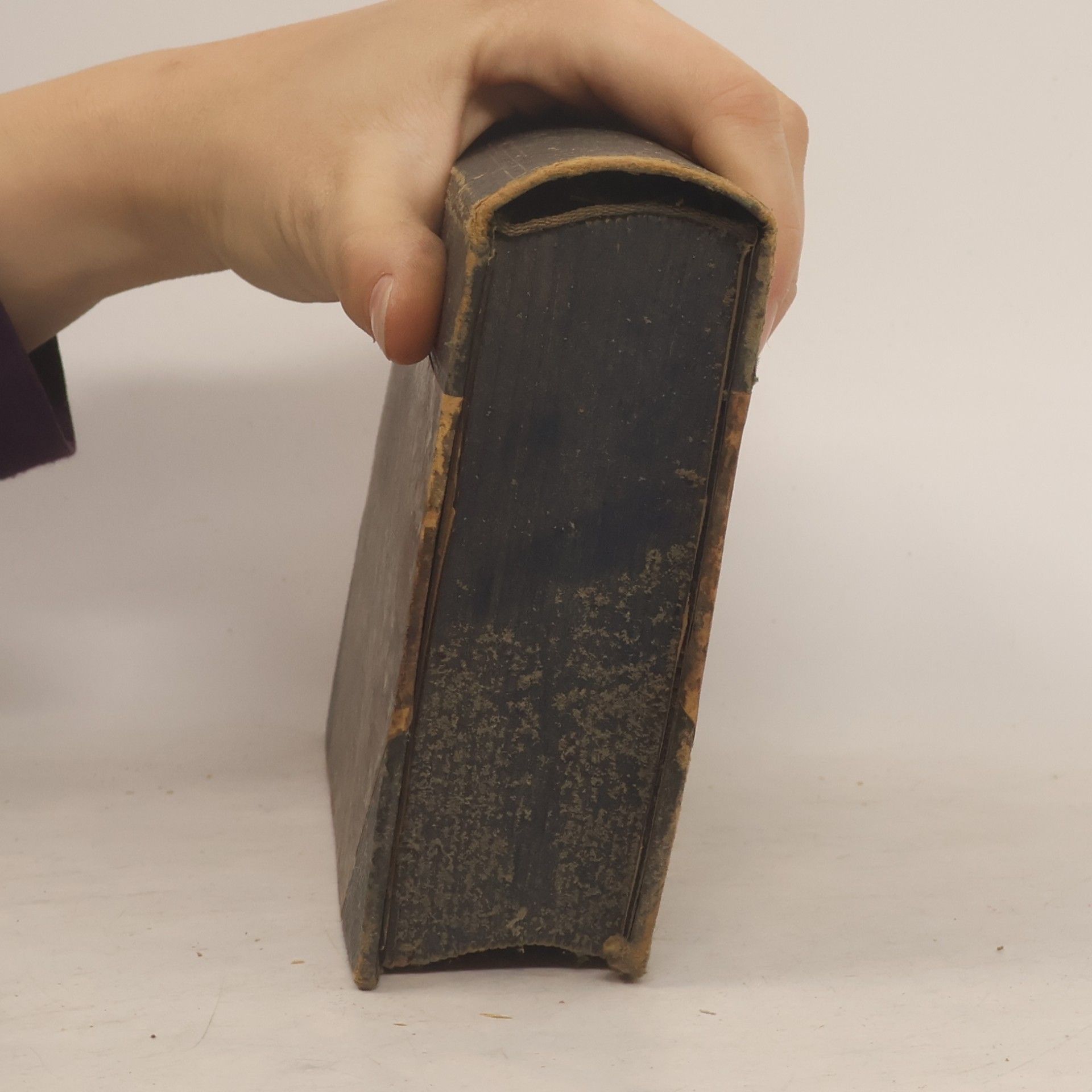 Johann Peter Eckermann Gespräche mit Goethe in den lezten Jahren seines Lebens