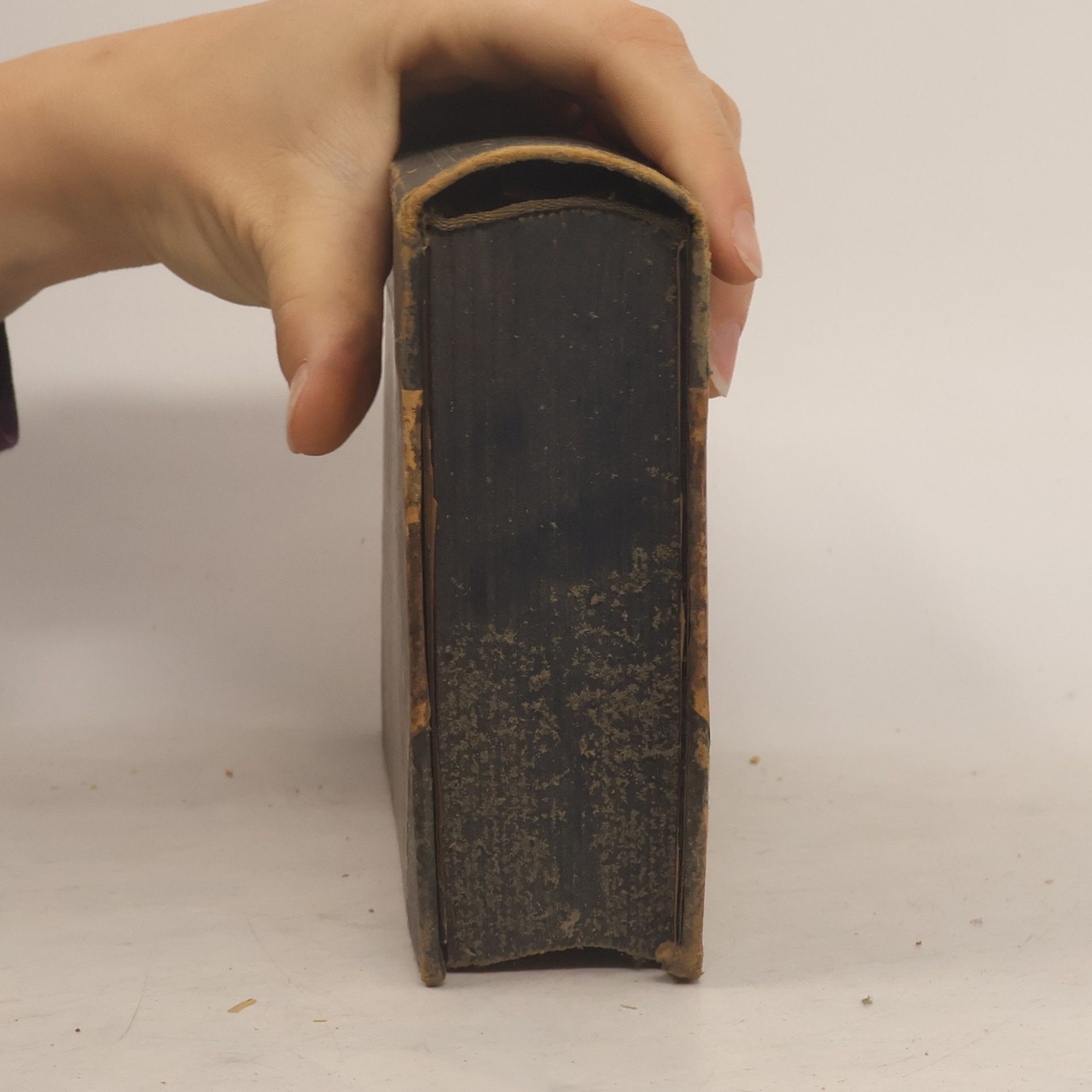 Johann Peter Eckermann Gespräche mit Goethe in den lezten Jahren seines Lebens
