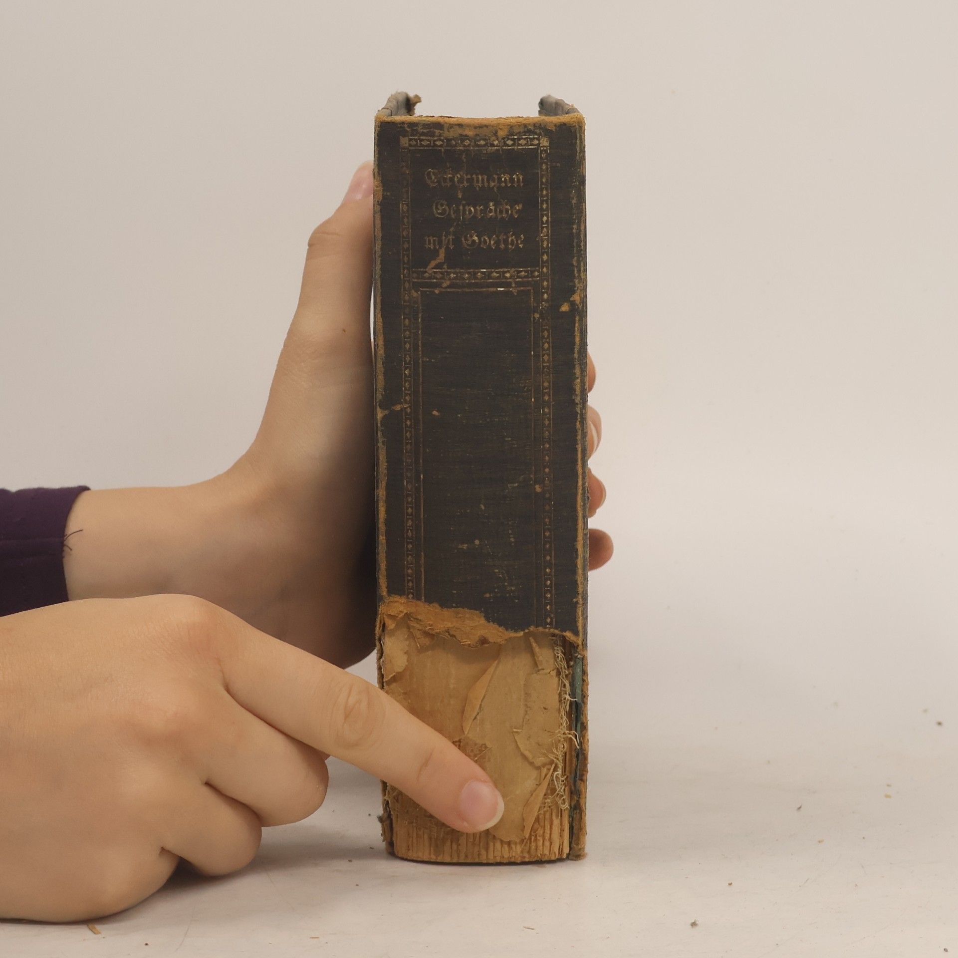 Johann Peter Eckermann Gespräche mit Goethe in den lezten Jahren seines Lebens