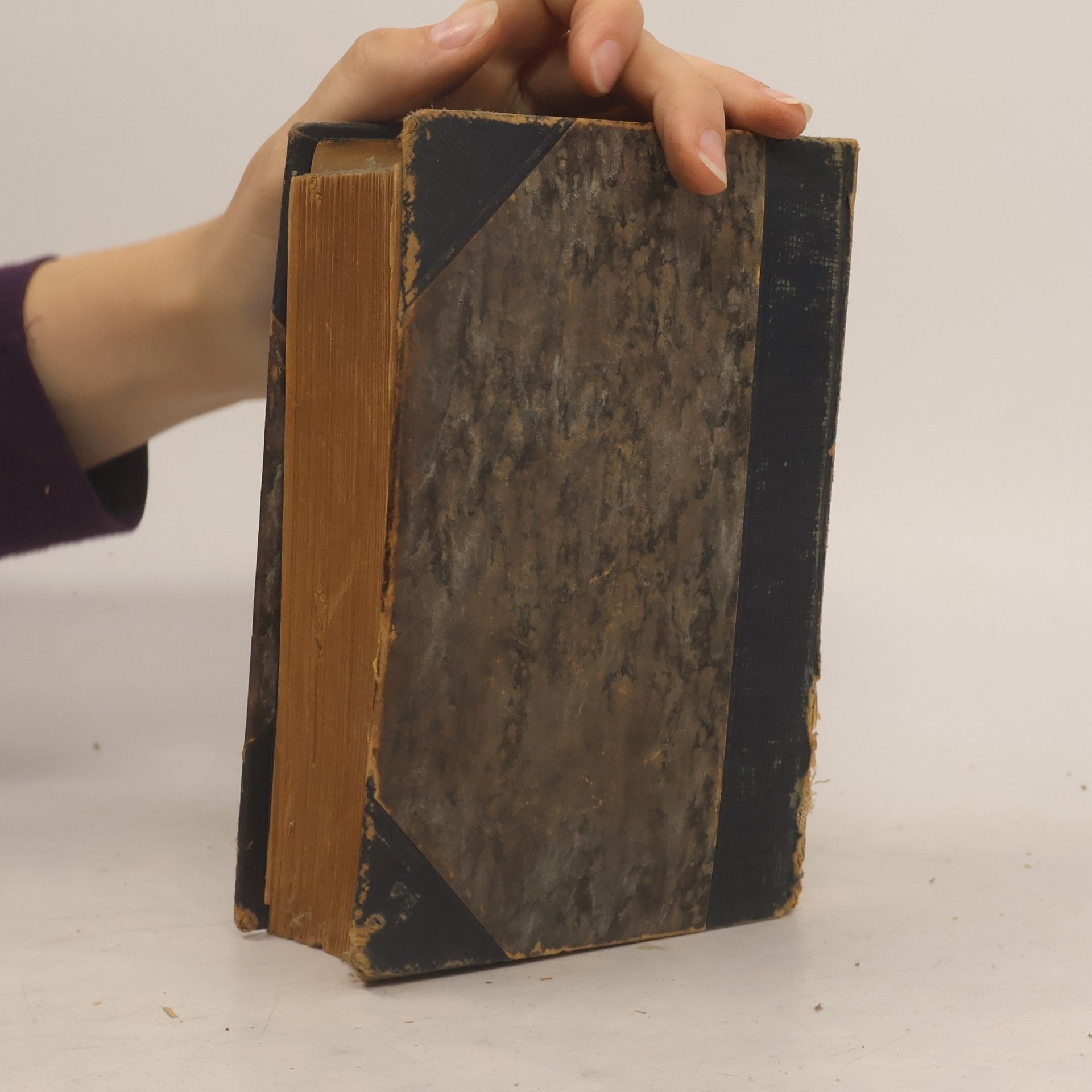 Johann Peter Eckermann Gespräche mit Goethe in den lezten Jahren seines Lebens