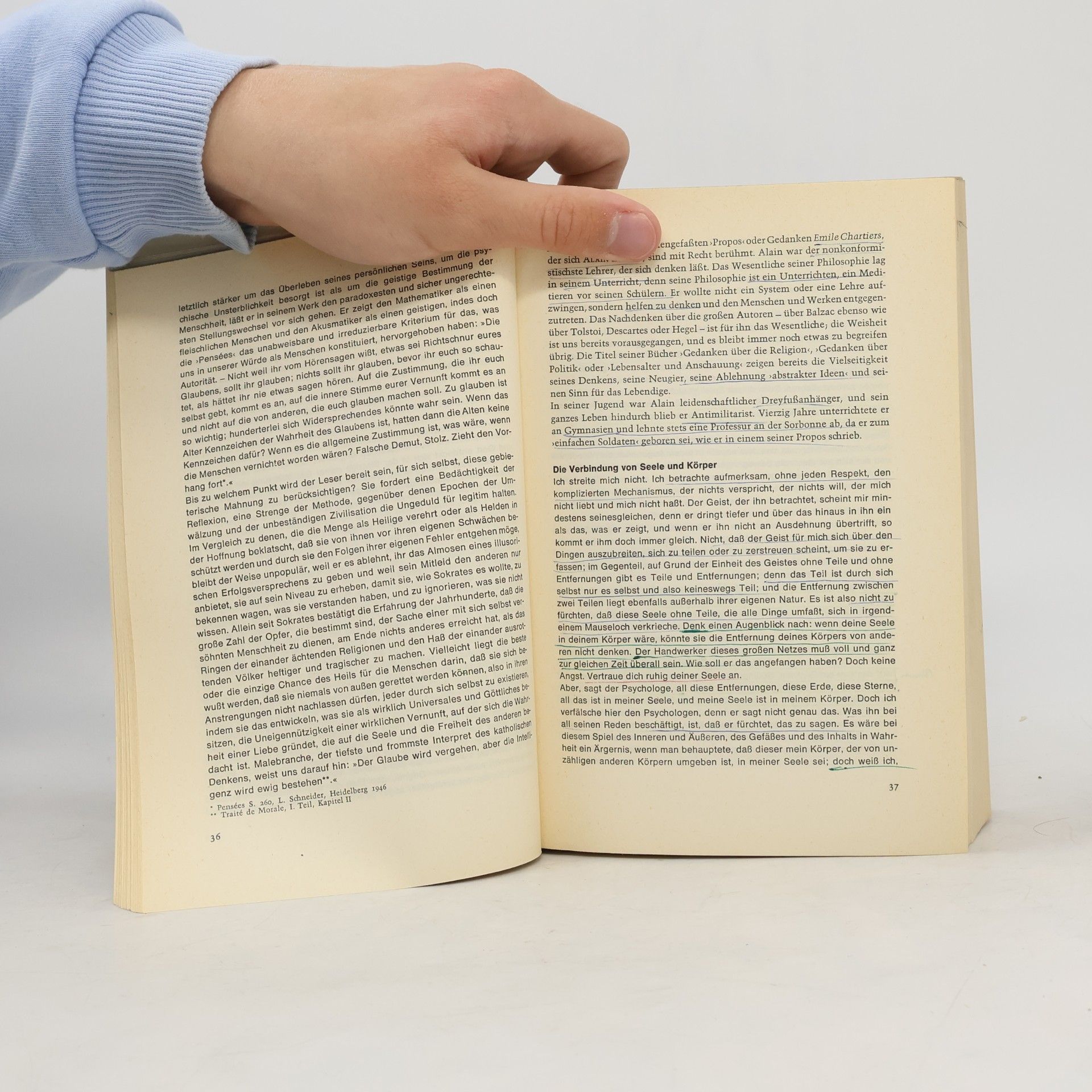 Autorenkollektiv Panorama des zeitgenössischen Denkens