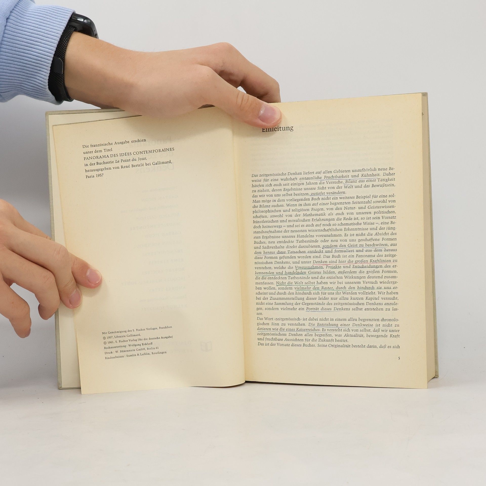 Autorenkollektiv Panorama des zeitgenössischen Denkens
