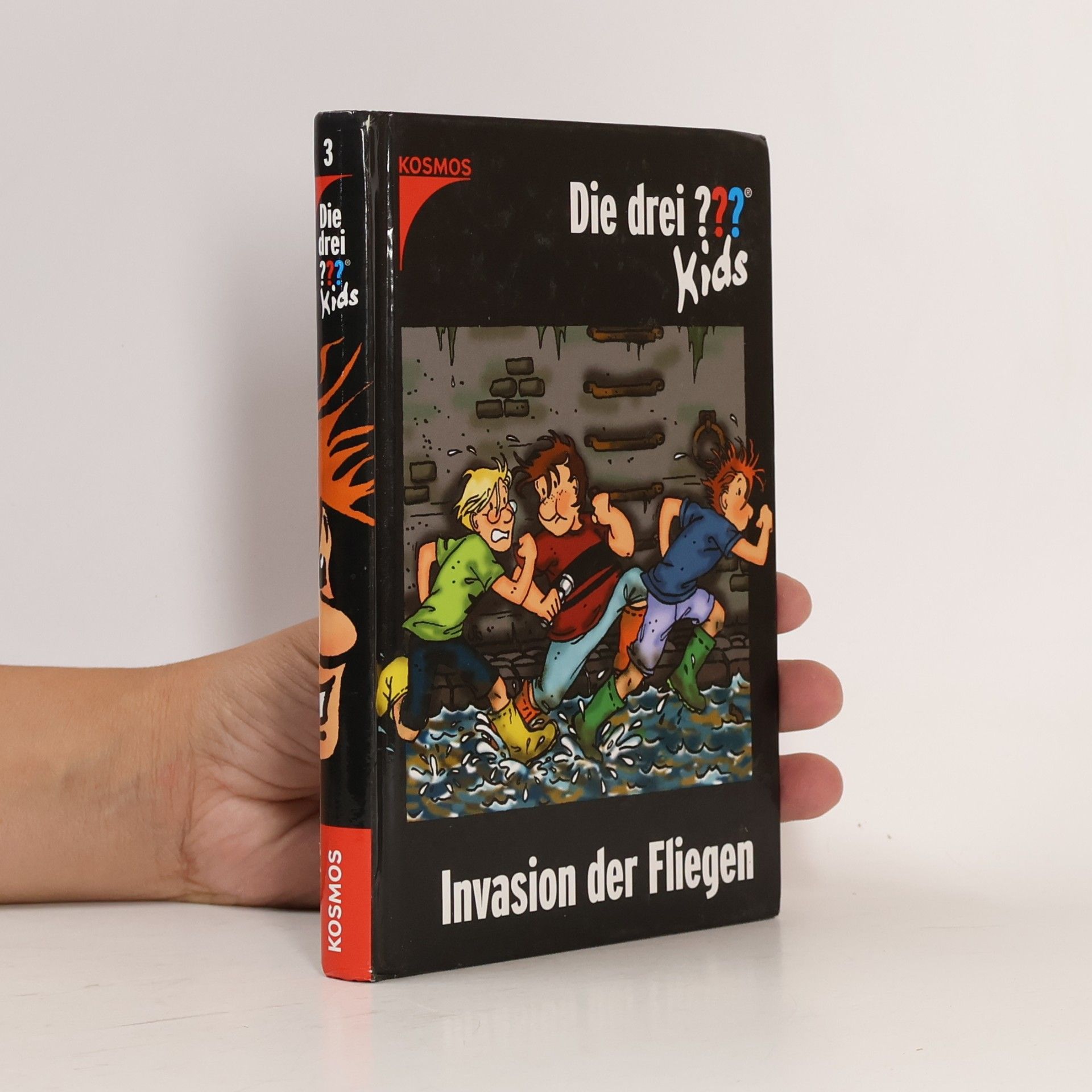 Ulf Blanck Die drei Fragezeichen-Kids, Bd.3, Invasion der Fliegen