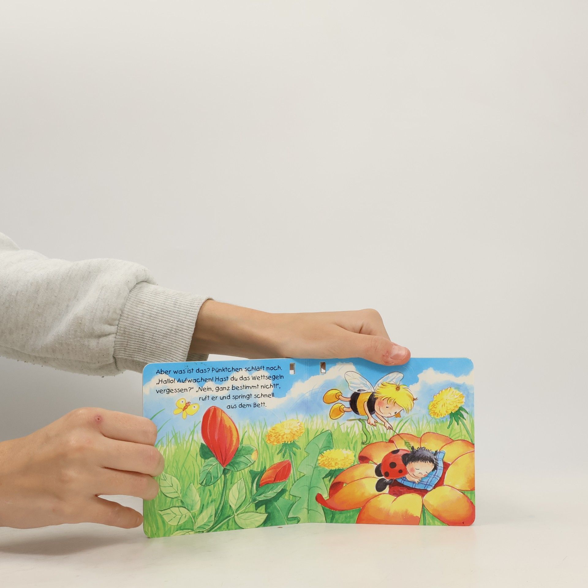 Bücher für die Kleinsten: Hummelchen und Pünktchen auf großer Fahrt