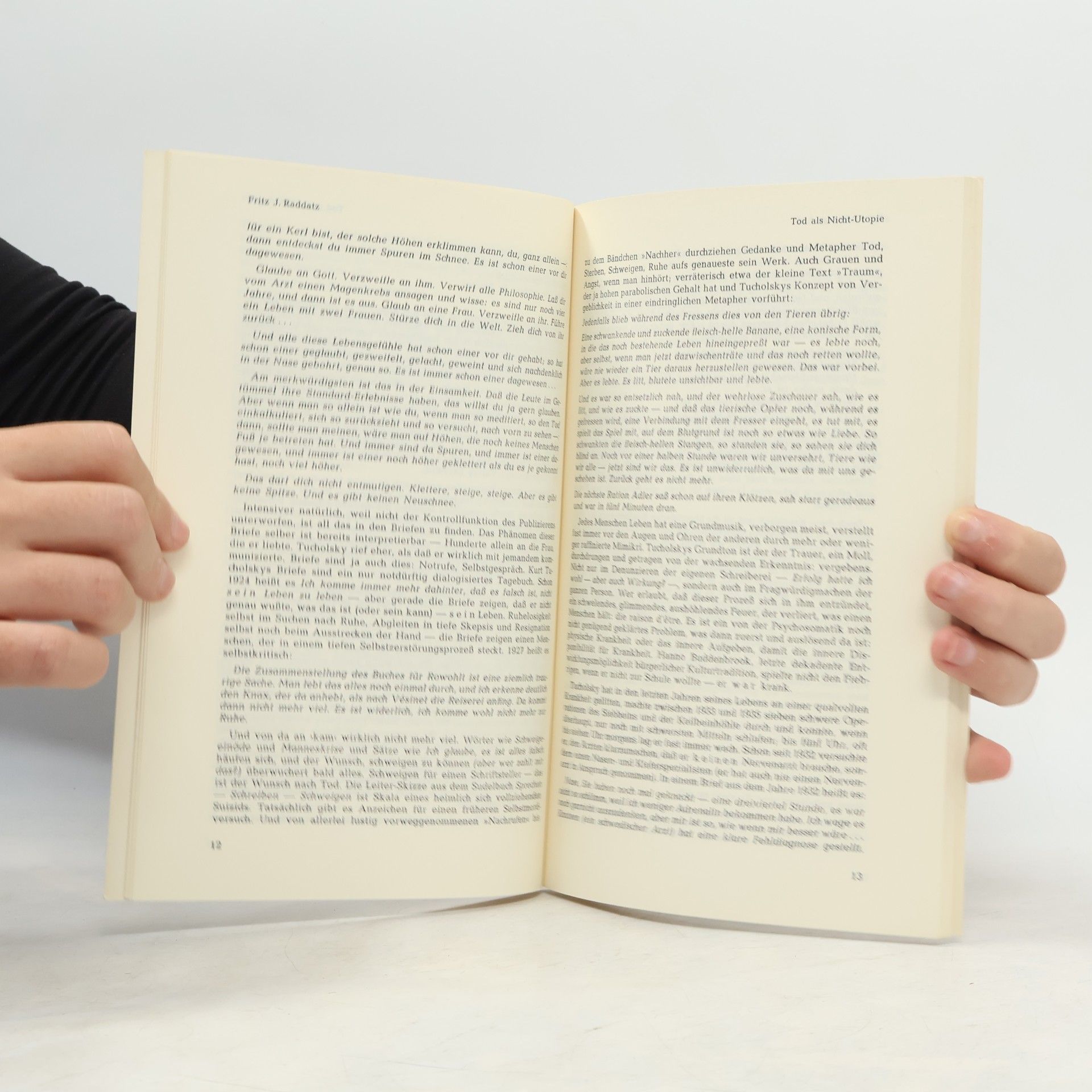 Kolektiv autorů TEXT+KRITIK 29: Kurt Tucholsky