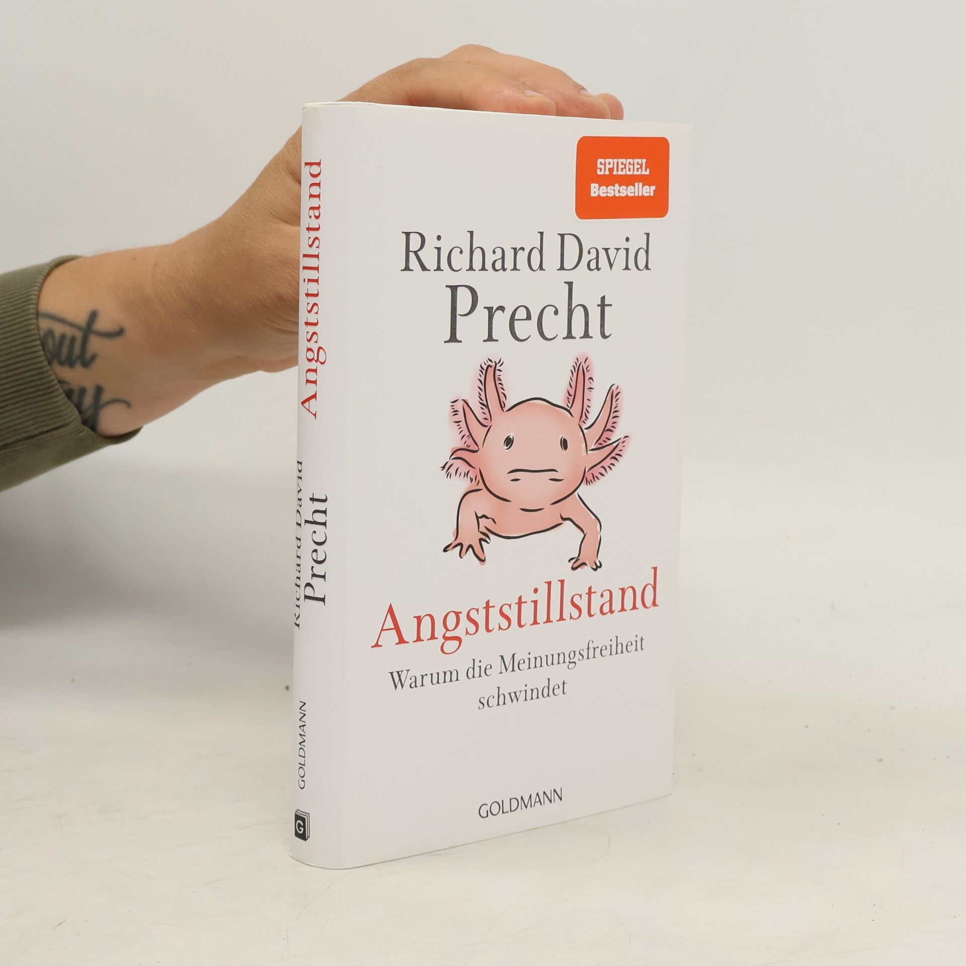Richard David Precht Angststillstand