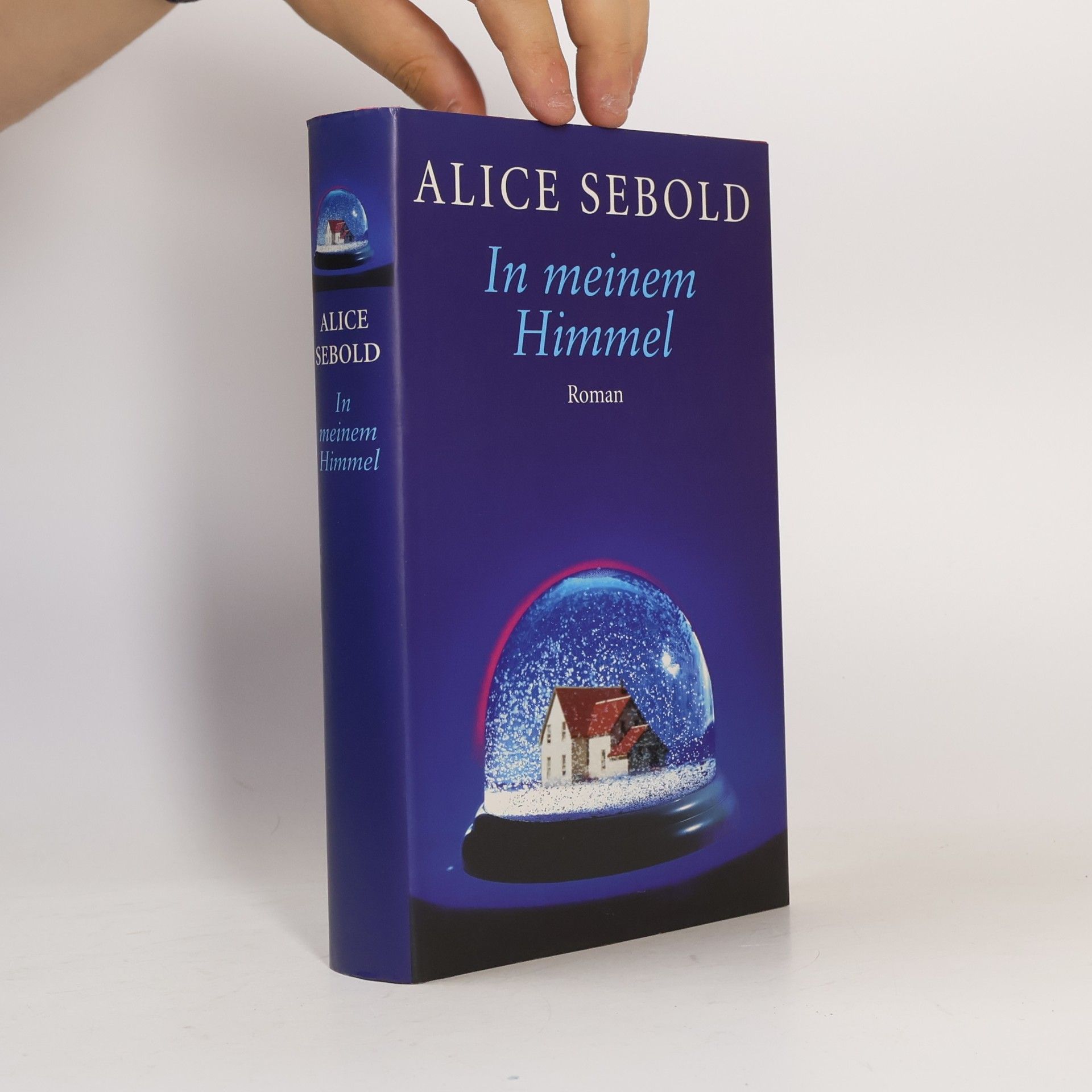 Alice Sebold In meinem Himmel