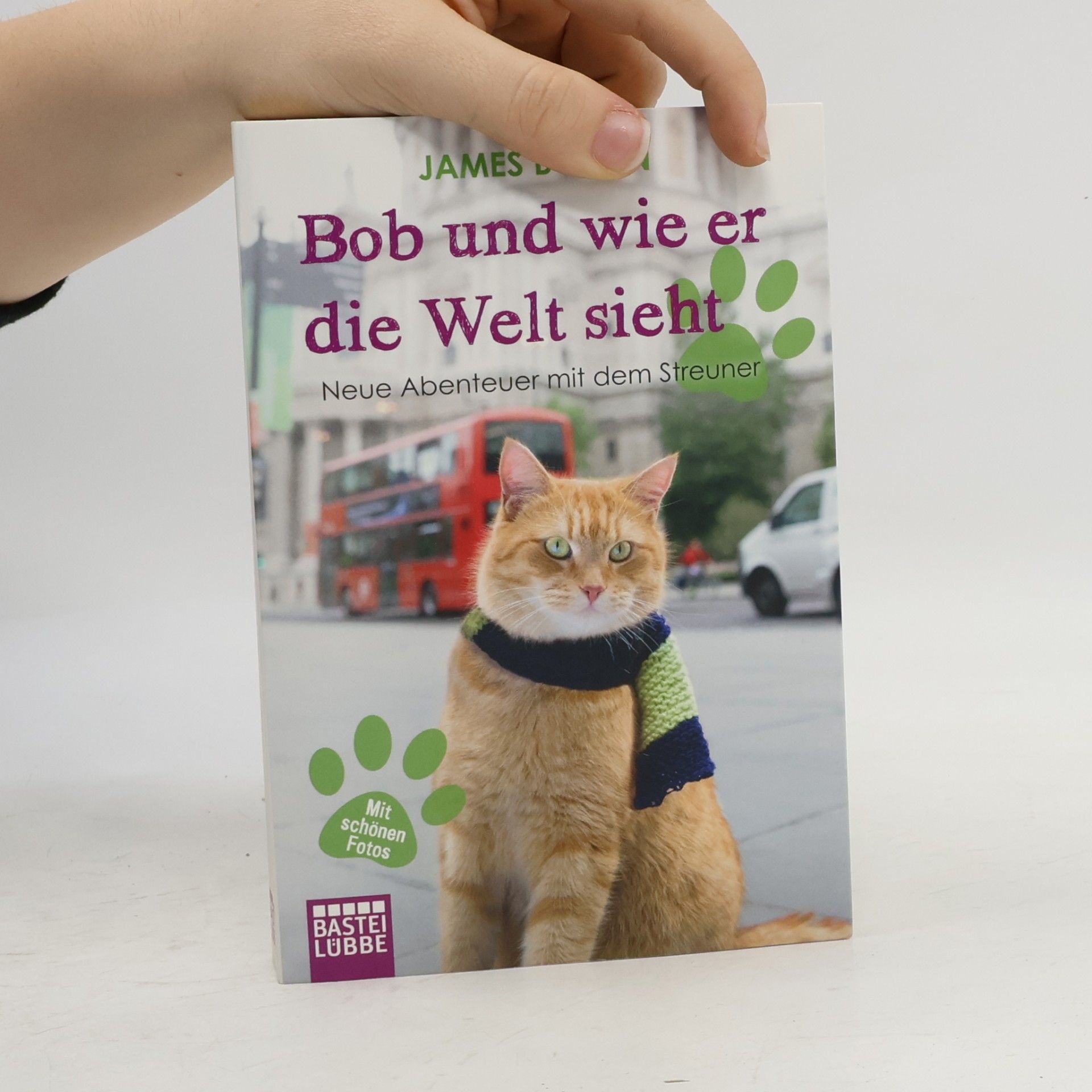 Bob und wie er die Welt sieht