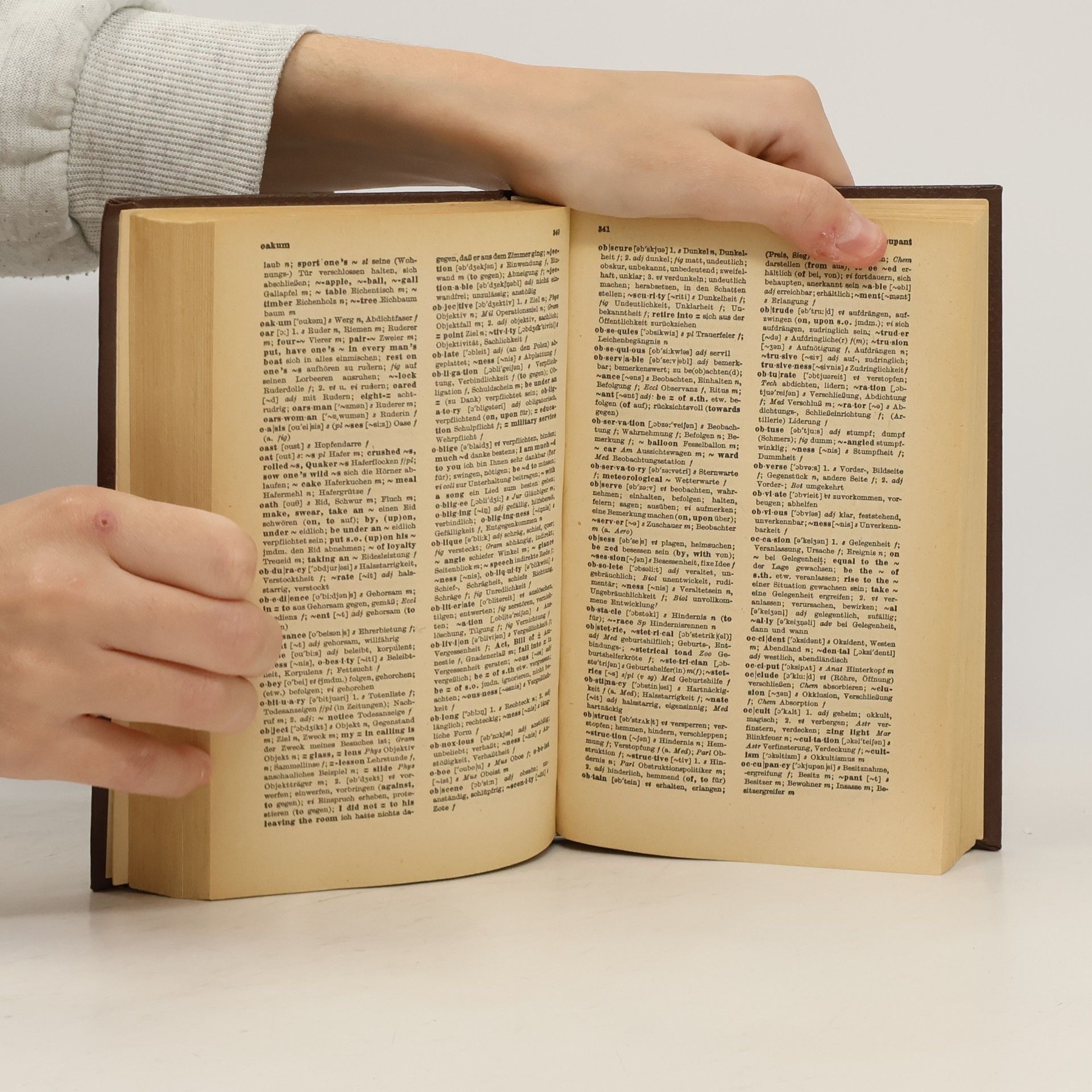 Käthe Briese Wörterbuch